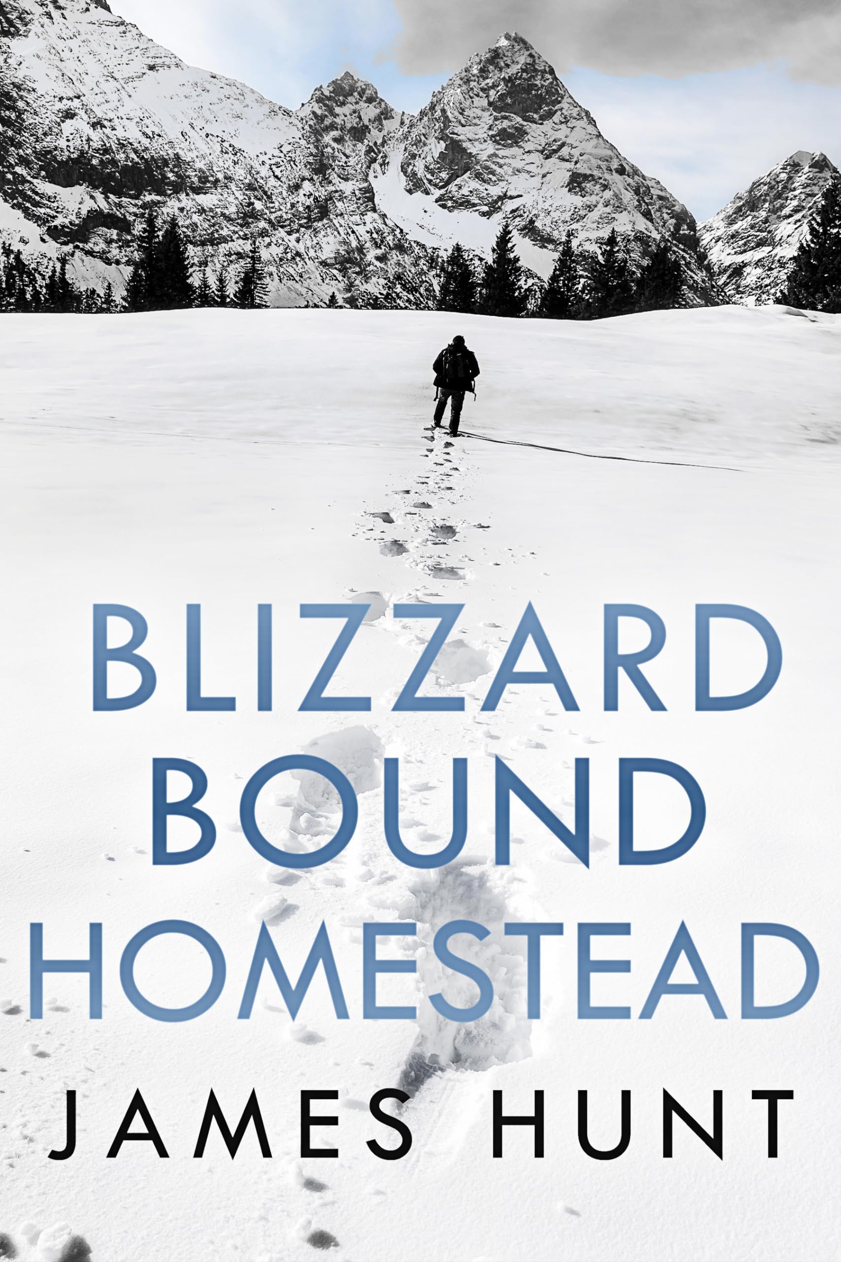 Blizzard Bound Homestead: A Small Town Post Apocalypse EMP Thriller Boxset