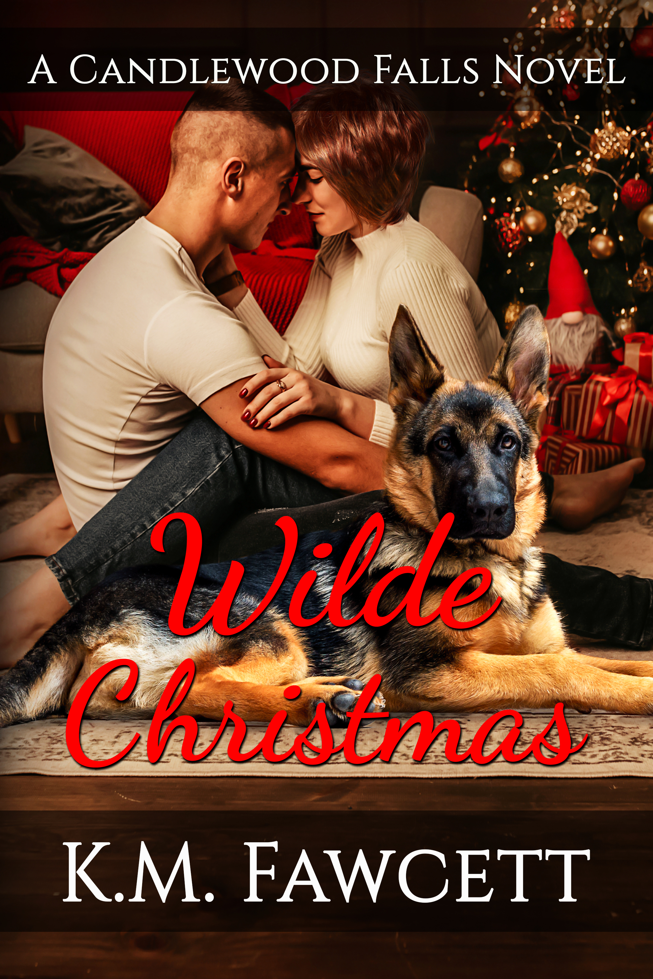 Candlewood Falls: Wilde Family book cover 1