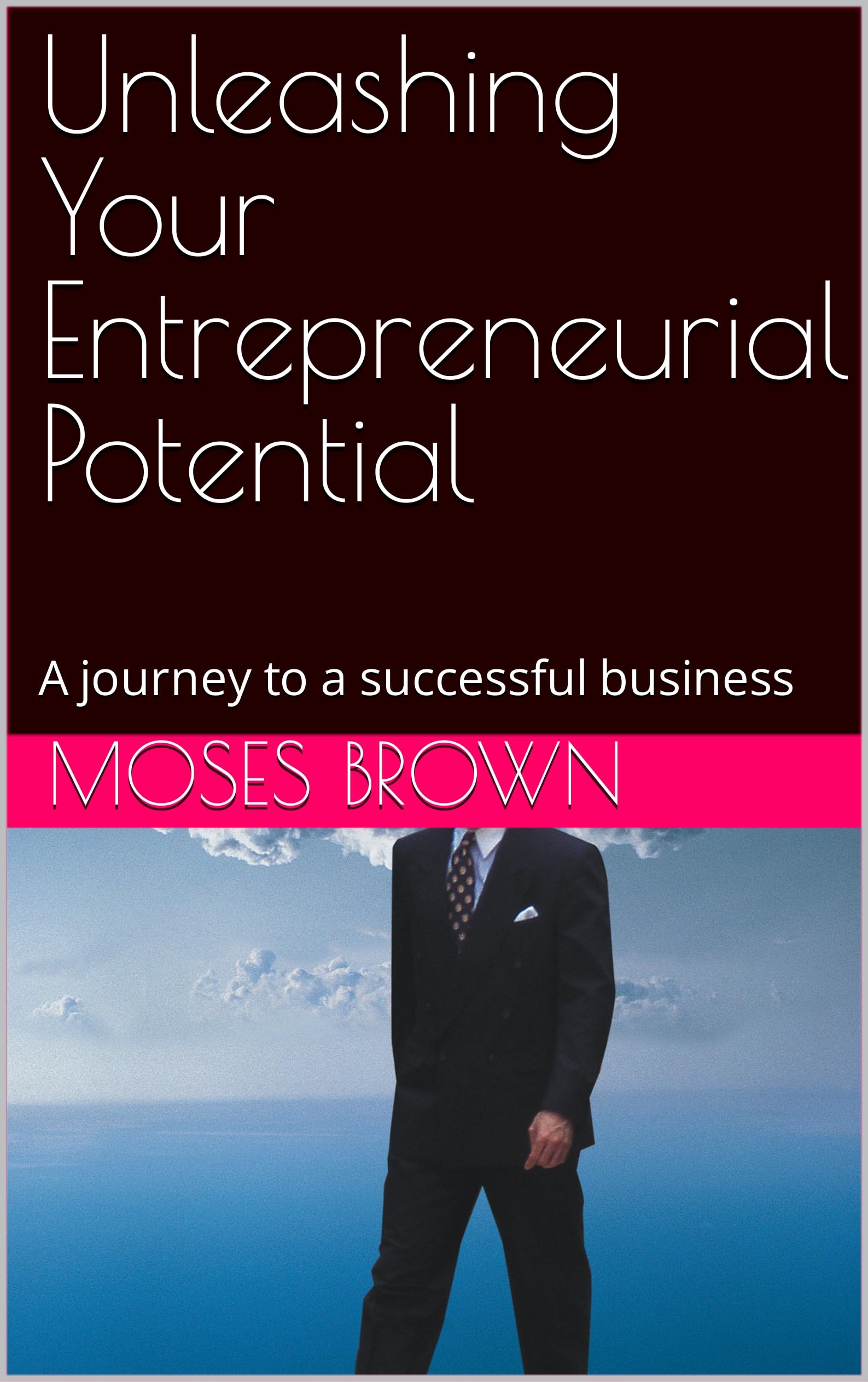 Unleashing Your Entrepreneurial Potential: A journey to a successful ...