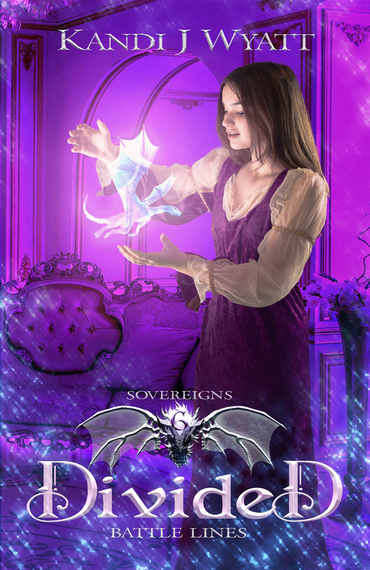 Divided book cover