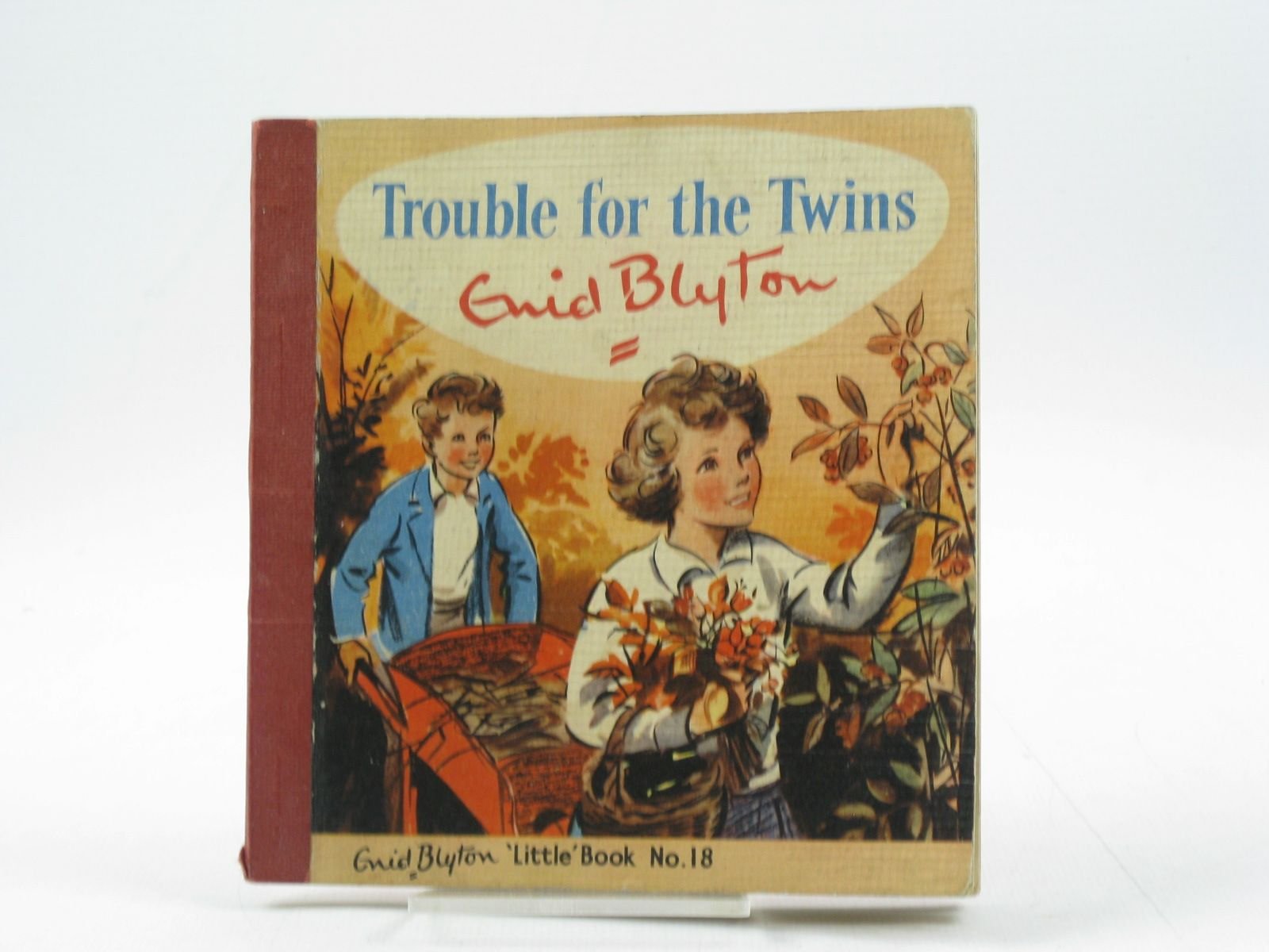Twins book cover 1