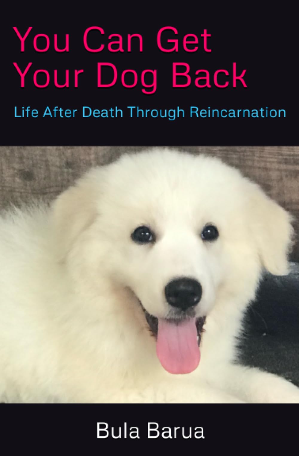 You Can Get Your Dog Back Life After Death Through Reincarnation by