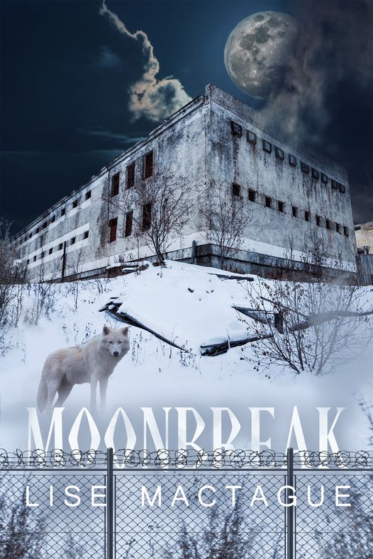 Moonbreak book cover