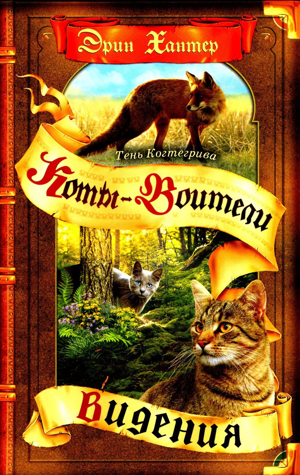 Видения book cover