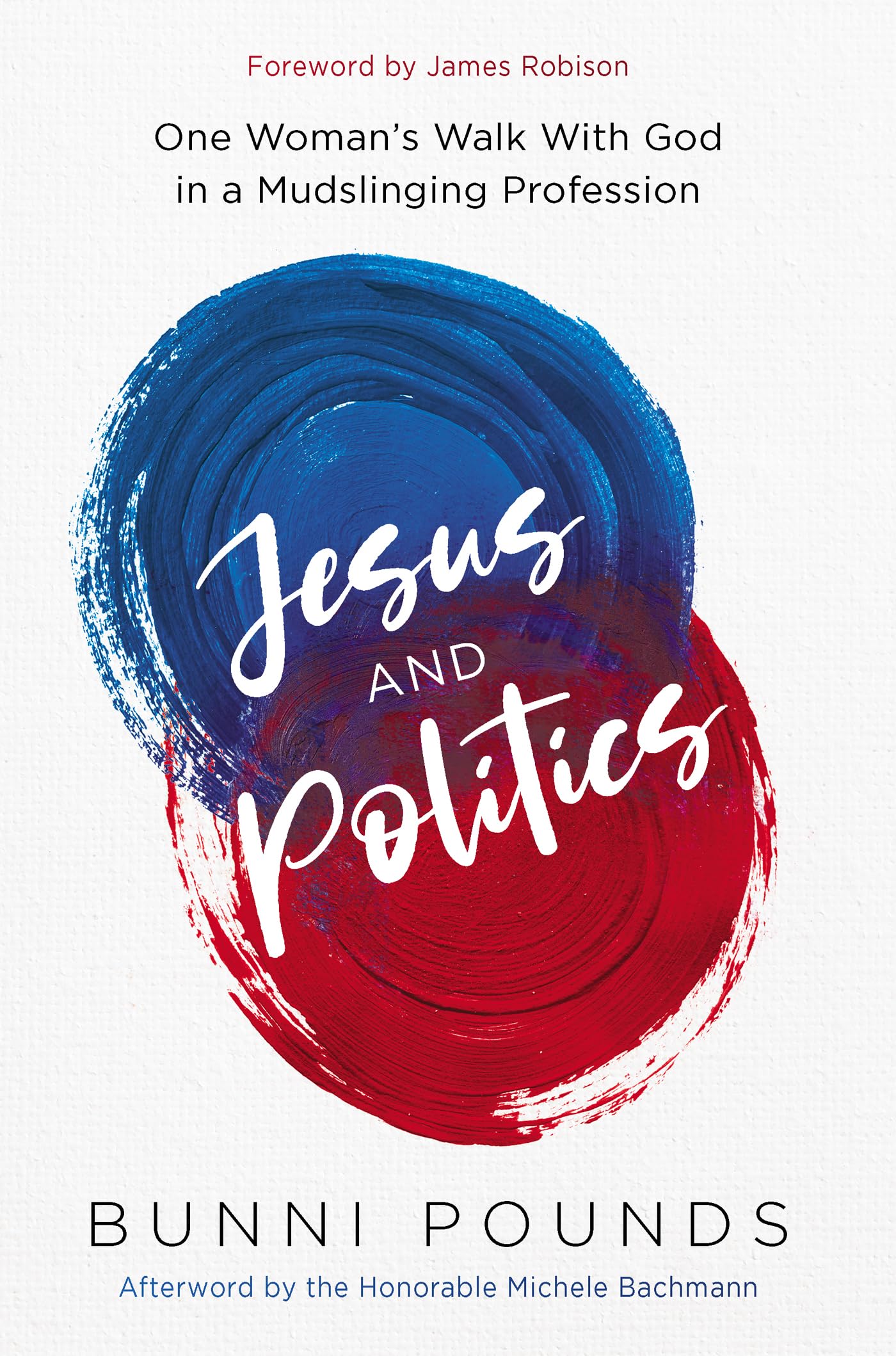 Jesus and Politics One Woman's Walk with God in a Mudslinging