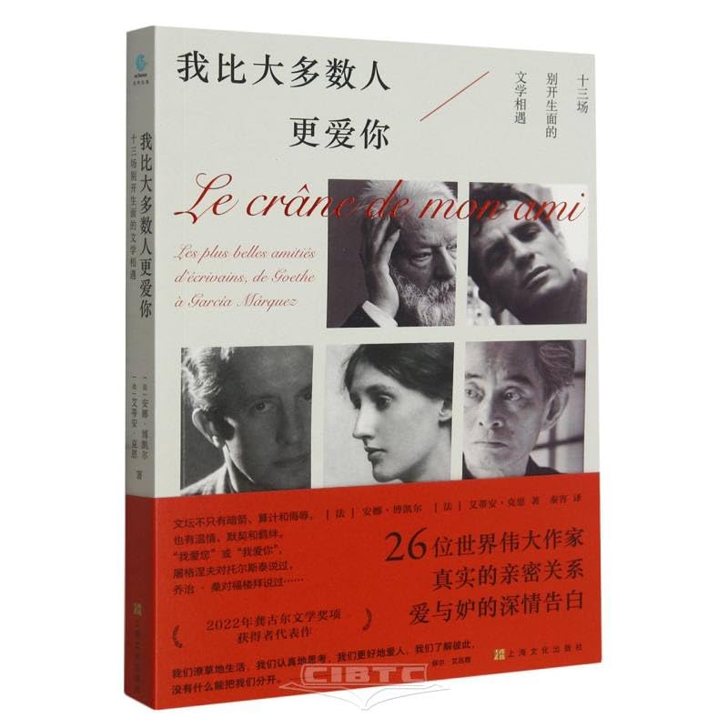 我比大多数人更爱你 book cover