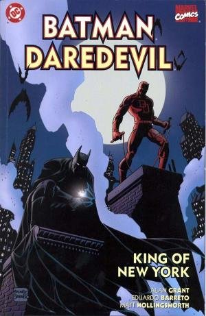 Batman Daredevil book cover