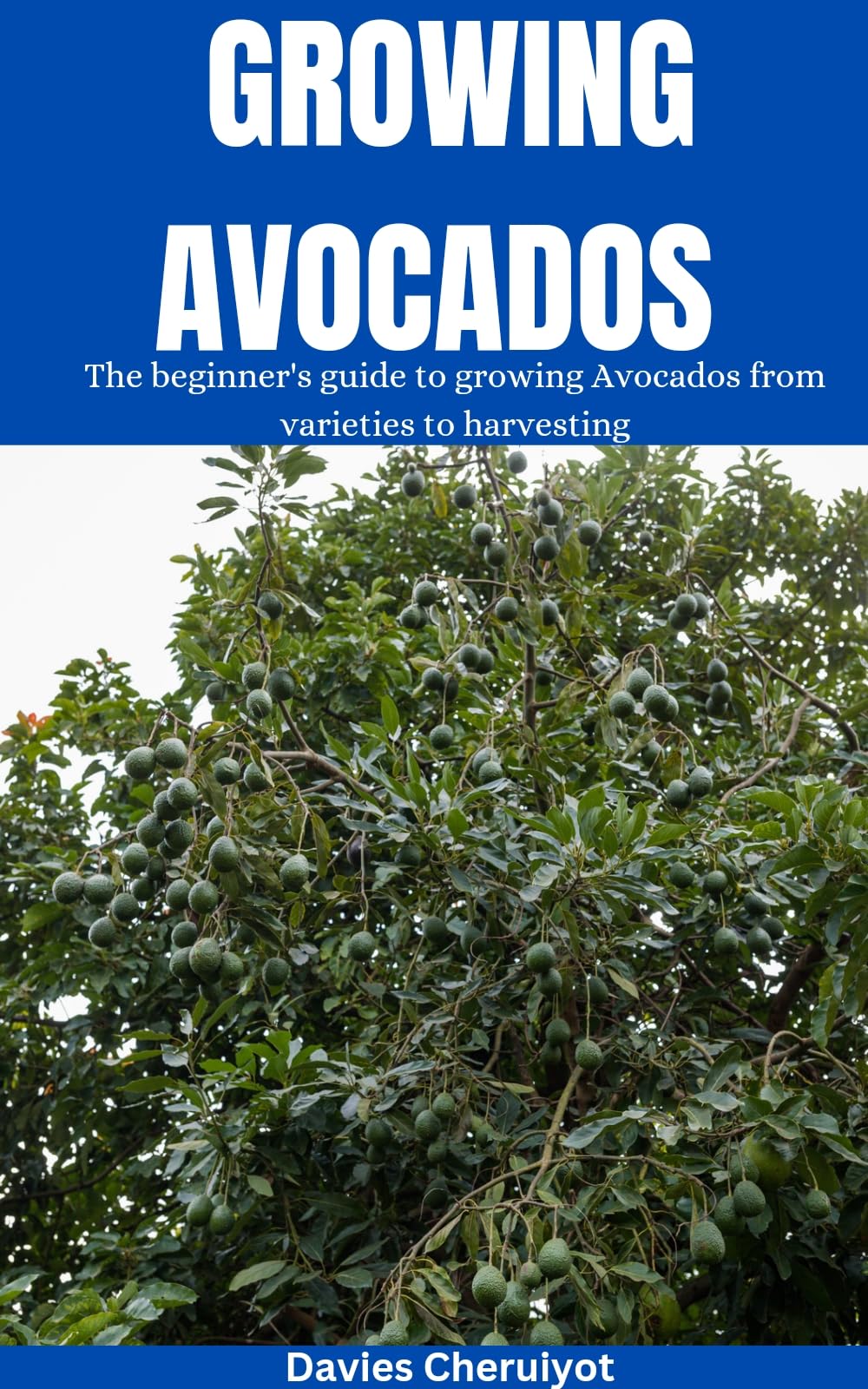 GROWING AVOCADOS The beginner's guide to growing Avocados from(00)
