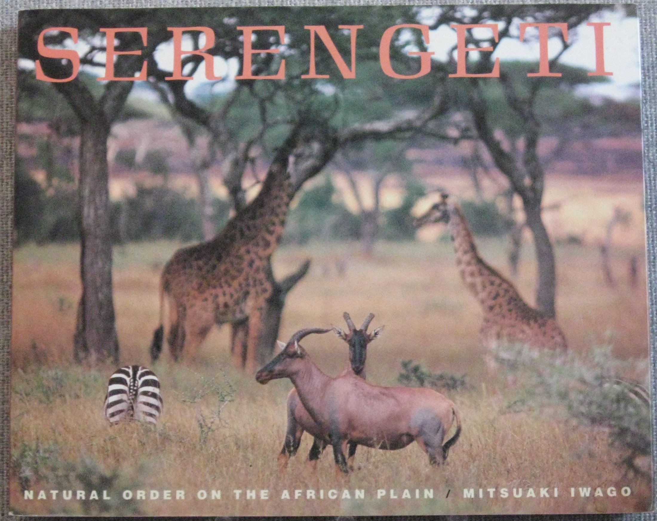 Serengeti: Natural Order on the African… Serengeti : Natural Order on the African Plain by Mitsuaki