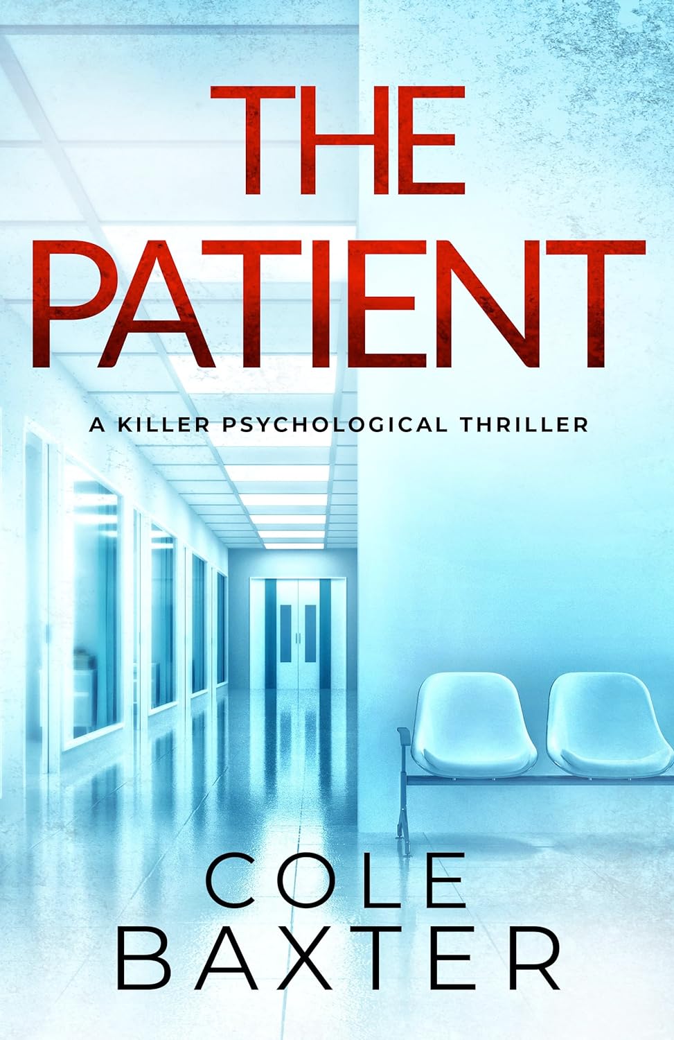 The Patient book cover
