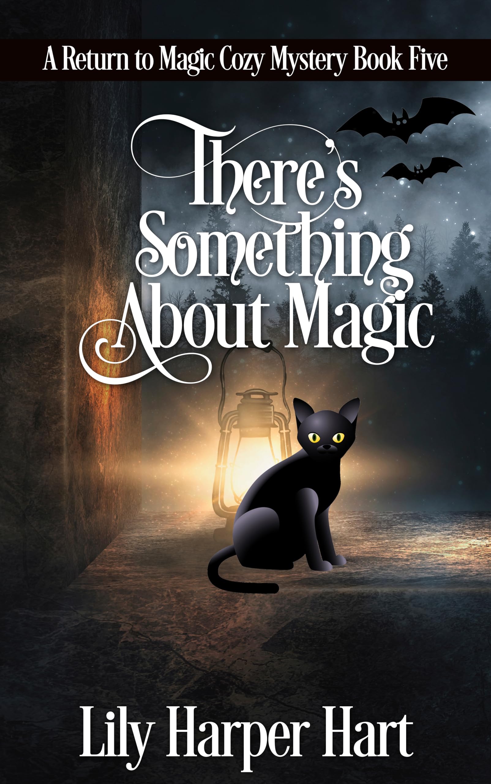 There's Something About Magic book cover