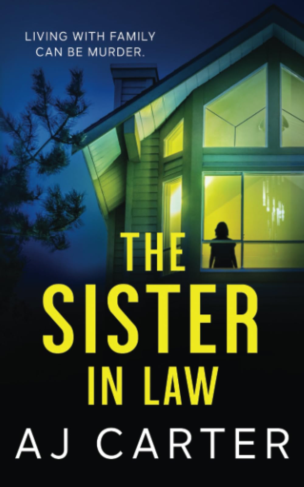 The SisterinLaw A gripping psychological domestic thriller full of suspense and shocking