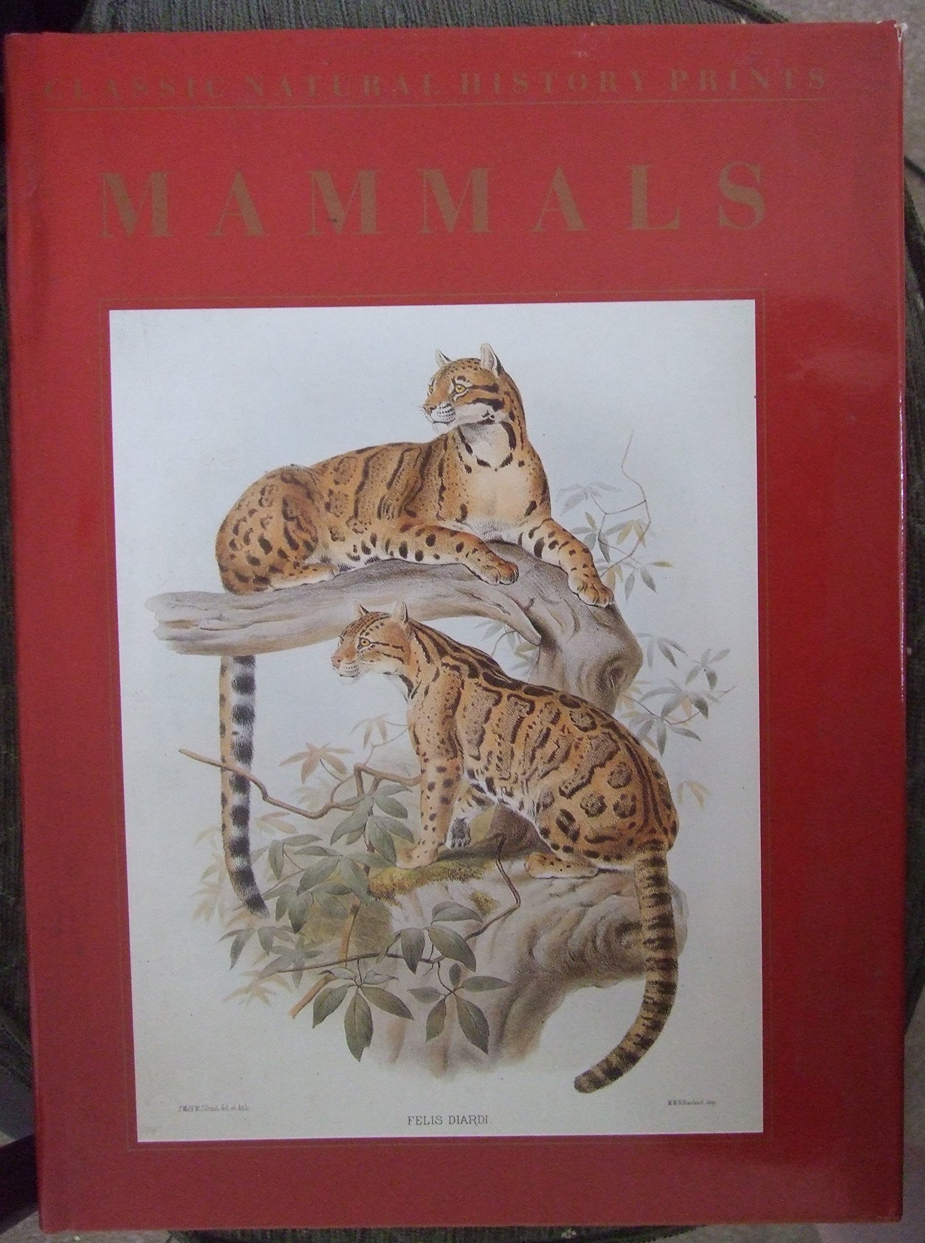 洋書 CLASSIC NATURAL HISTORY PRINTS MAMMALS CLASSIC NATURAL
