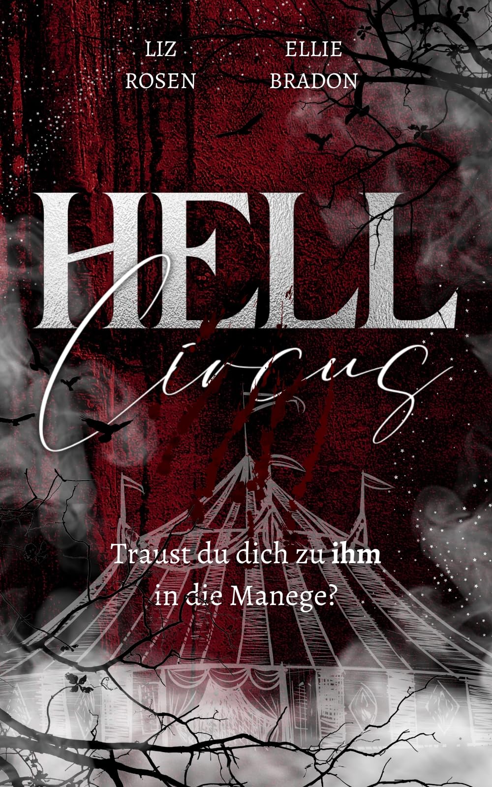 Hell Circus: Schaurige Dämonen-Romantasy mit düsterem Setting und Spicy-Szenen