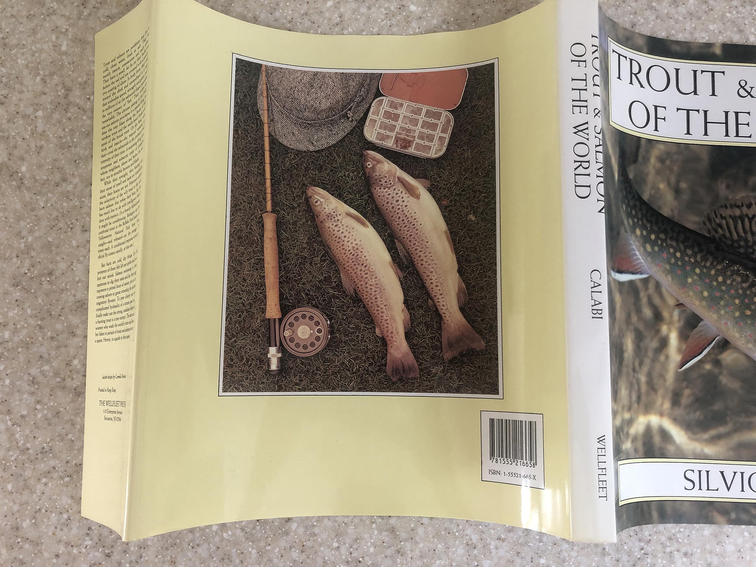 Trout and Salmon of the World by Silvio Calabi Goodreads