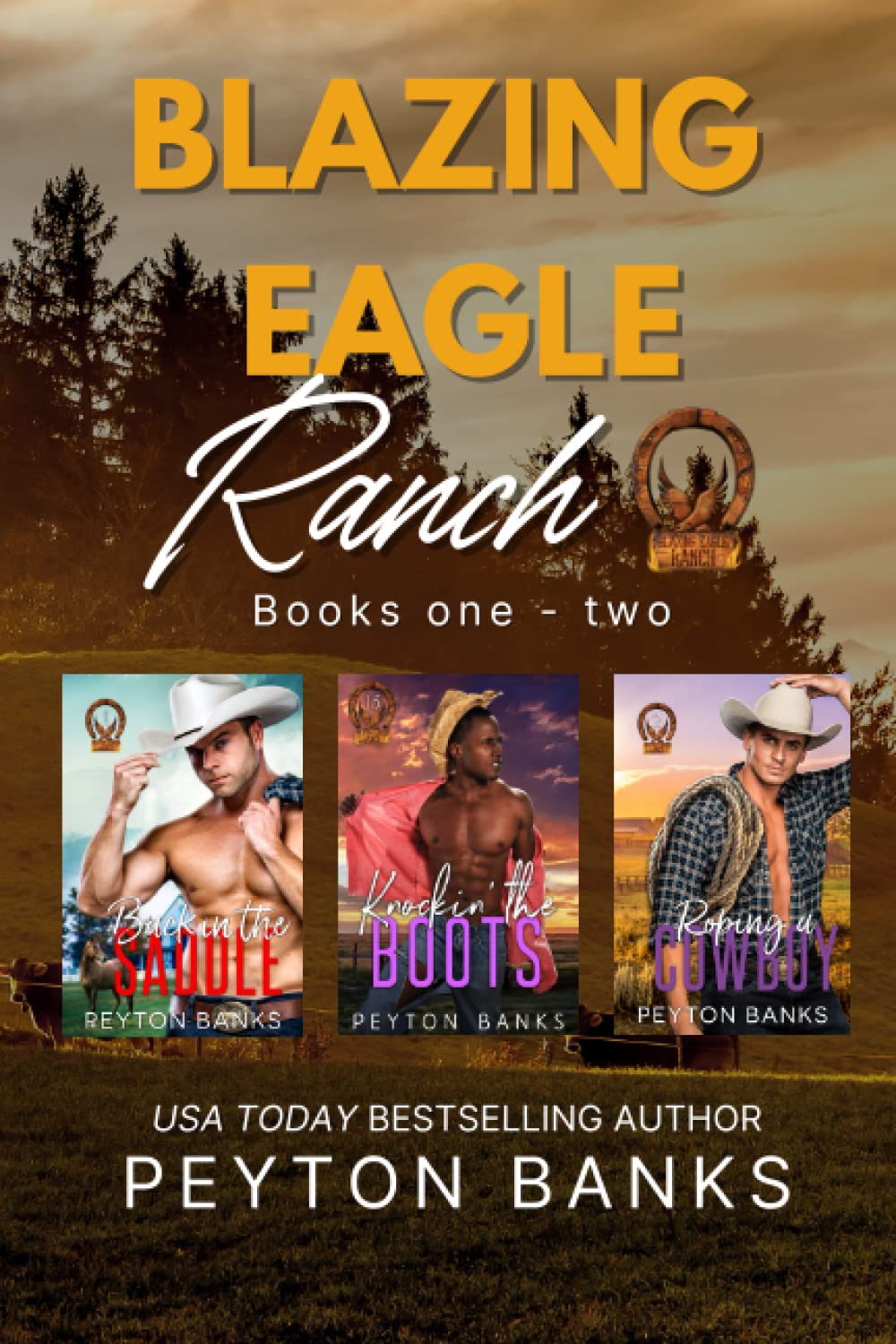 Blazing Eagle Ranch Collection book cover