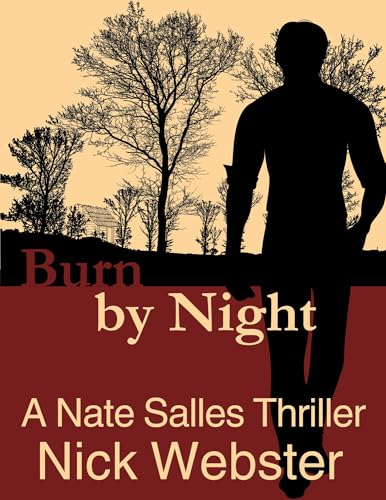 Burn by Night: A Nate Salles Thriller