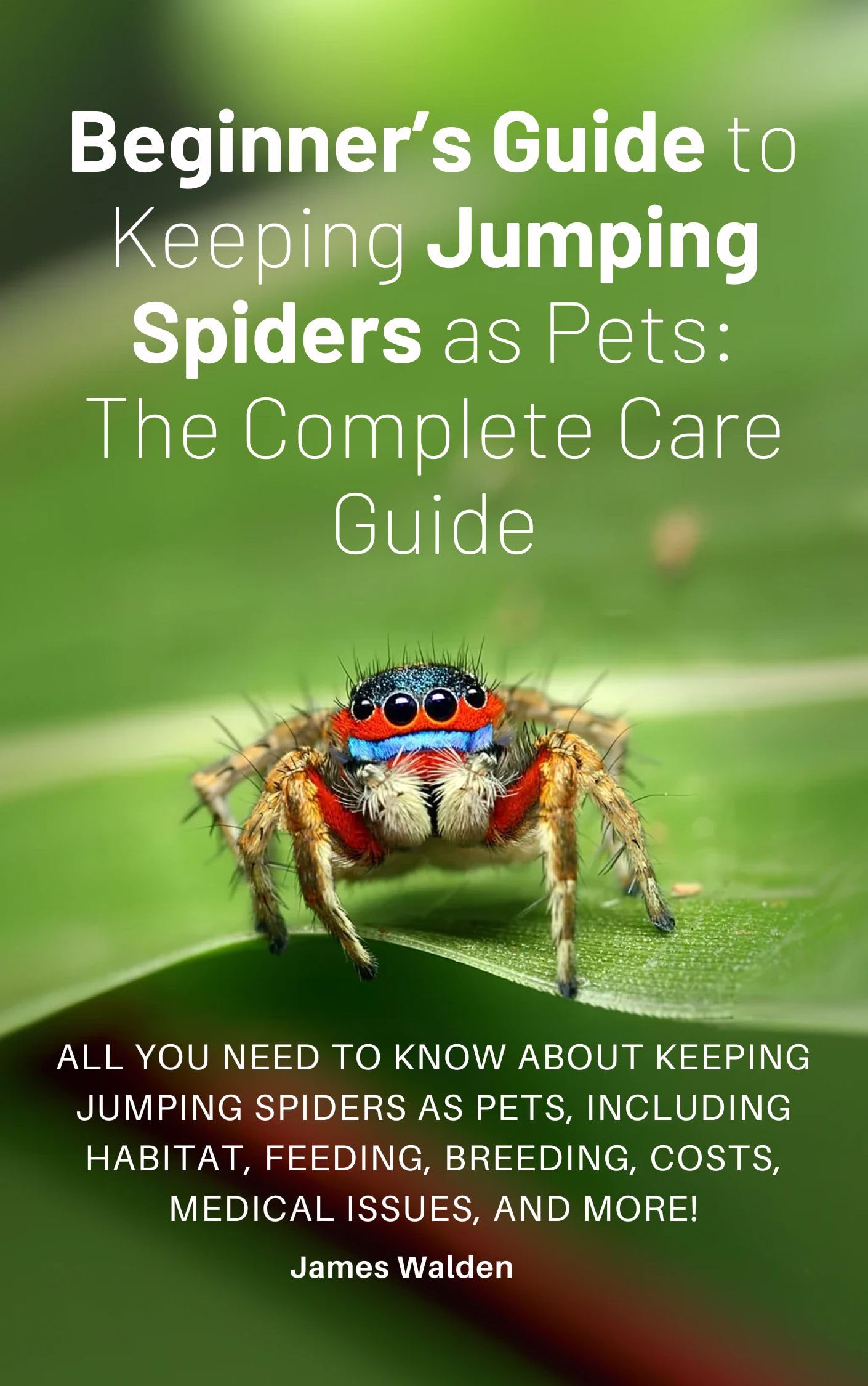 Satellite Spatter: The Ultimate Beginner'S Guide - a1ub42z
