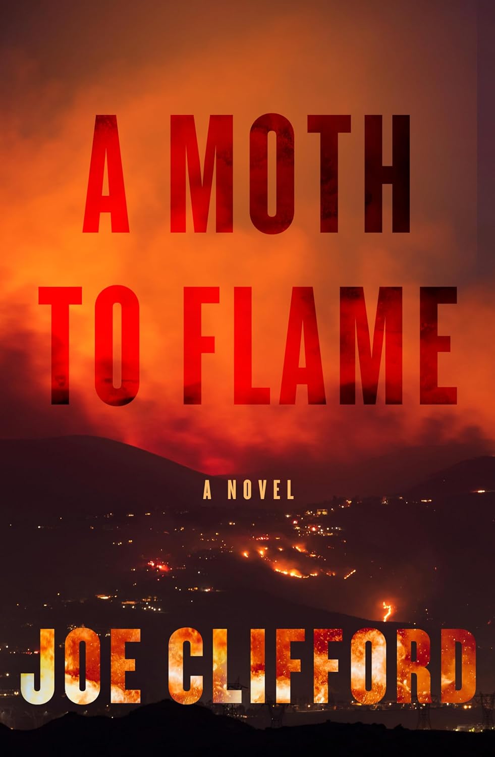 A Moth to Flame book cover