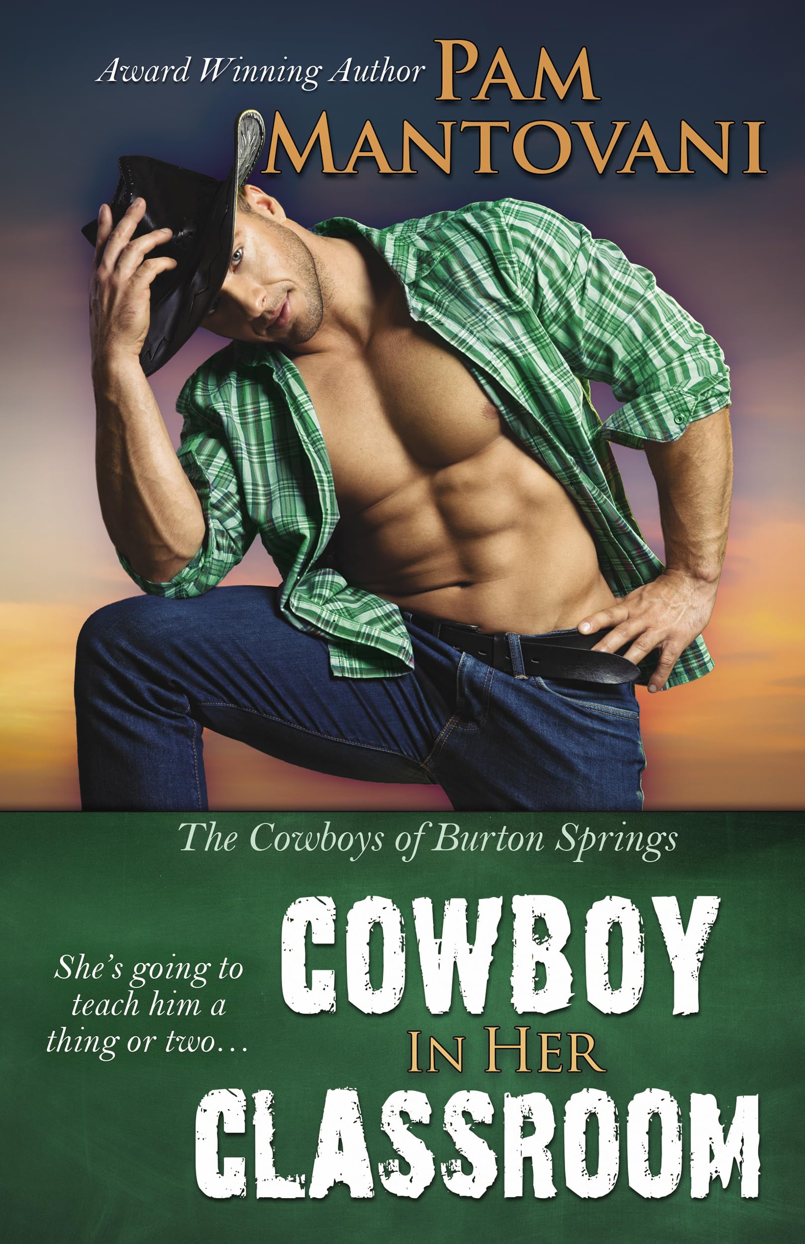 Cowboy in Her Classroom book cover
