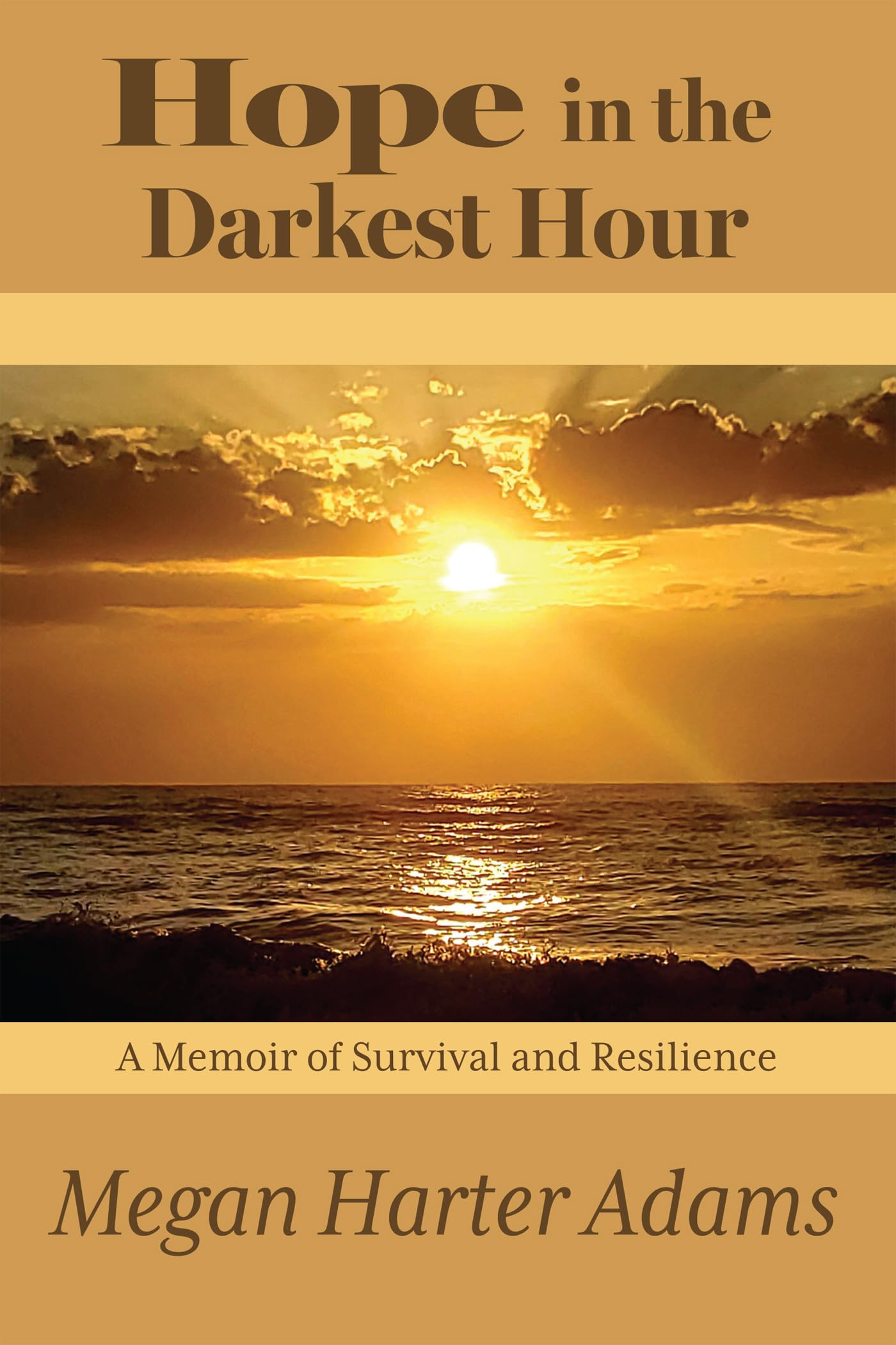 Bryan Schuler'S Darkest Hour: A Journey Of Resilience - pmkl3k7