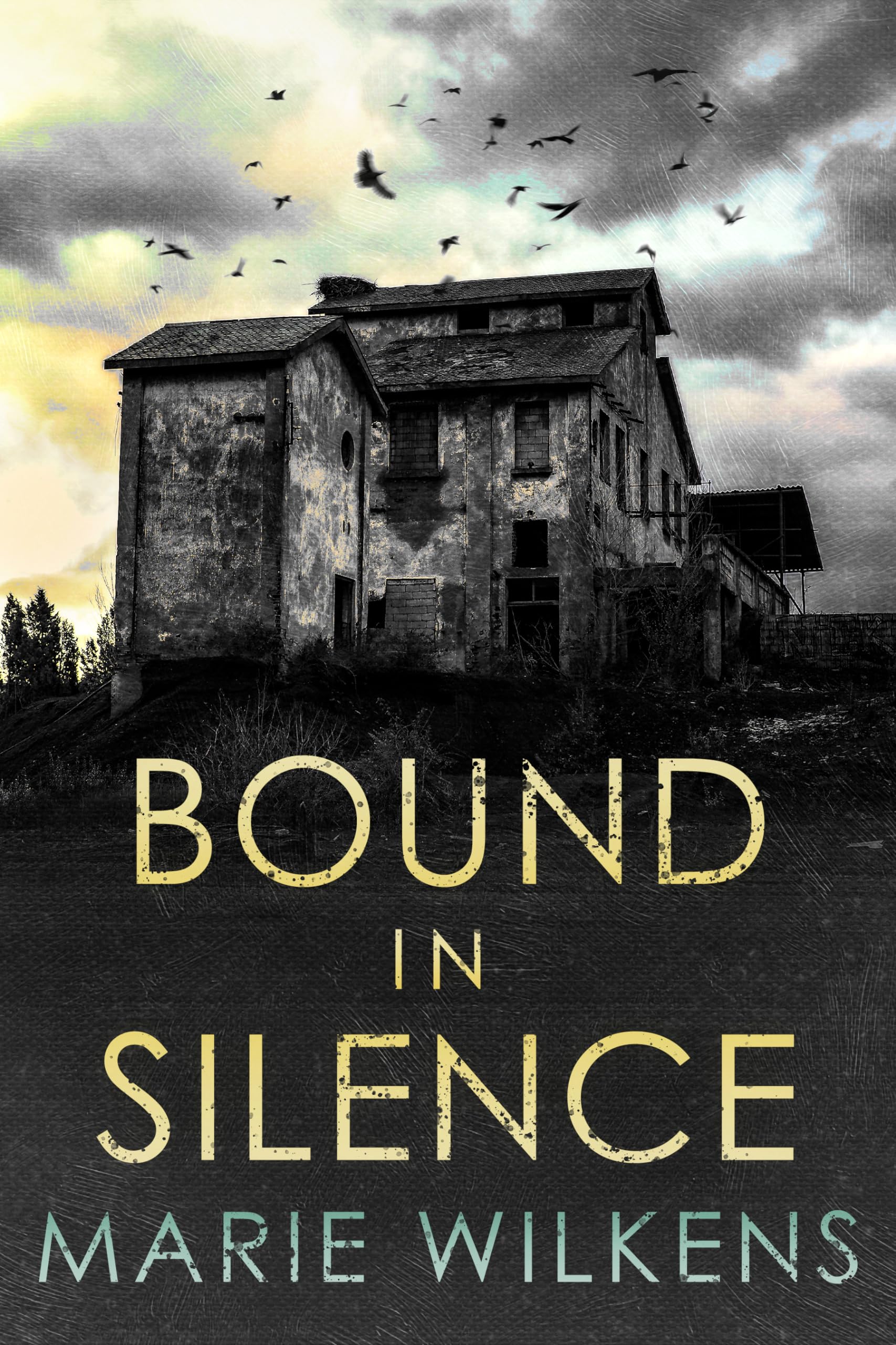 Bound in Silence book cover