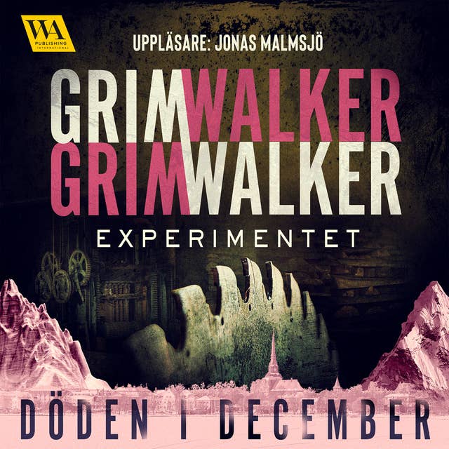 Experimentet book cover