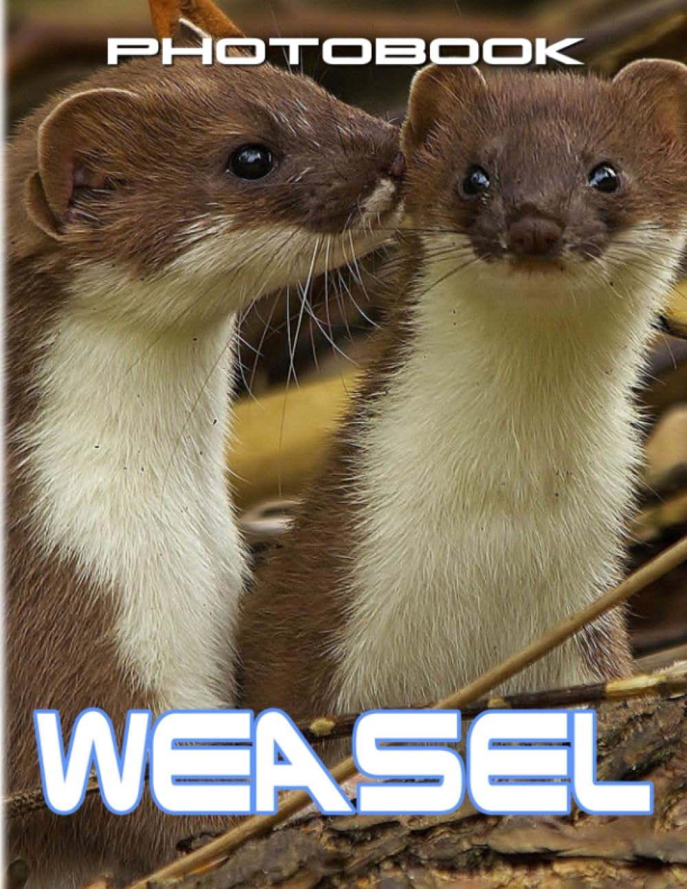 Weasel Photobook: An Amazing Collection With Compelling Photos Of ...