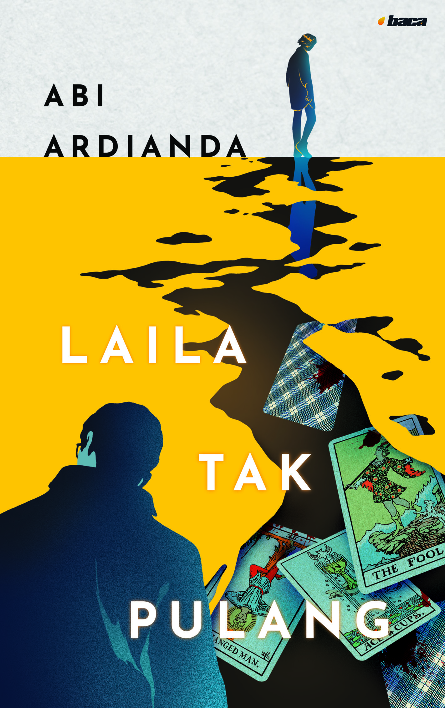 Laila Tak Pulang