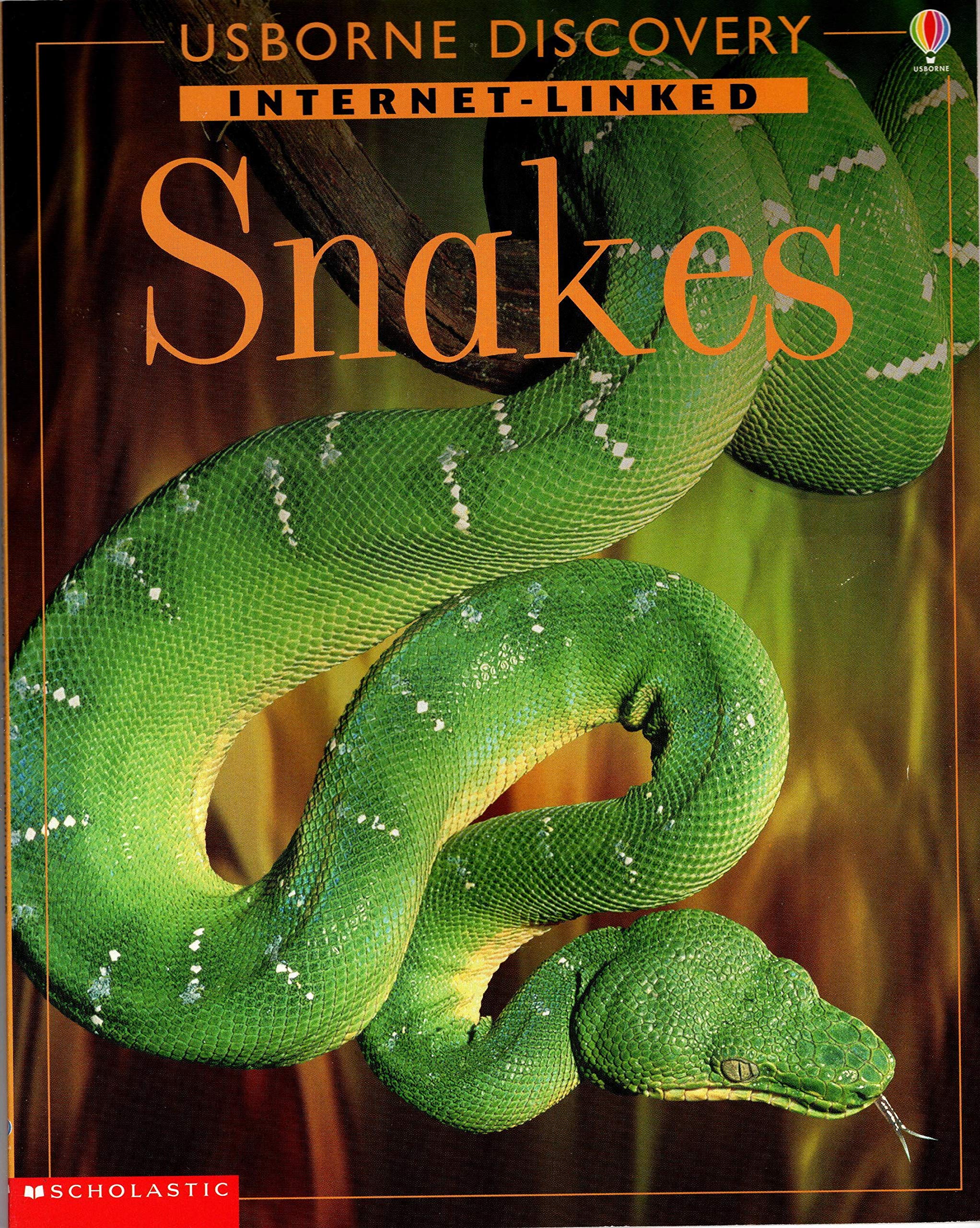 Snakes Linked (Usborne Discovery) by Rachel Firth Goodreads