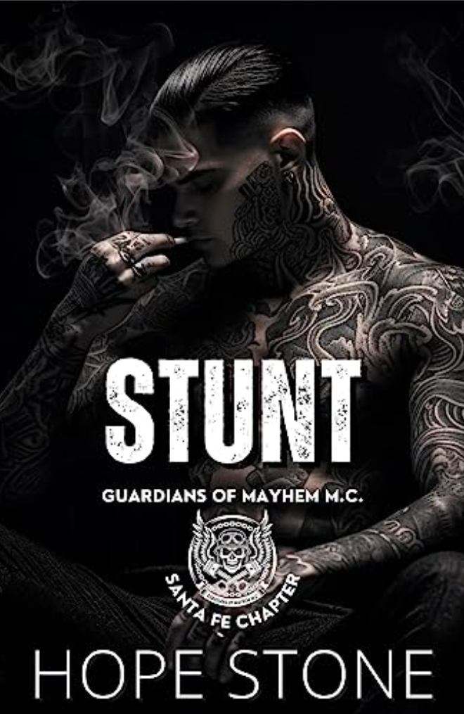 Stunt book cover