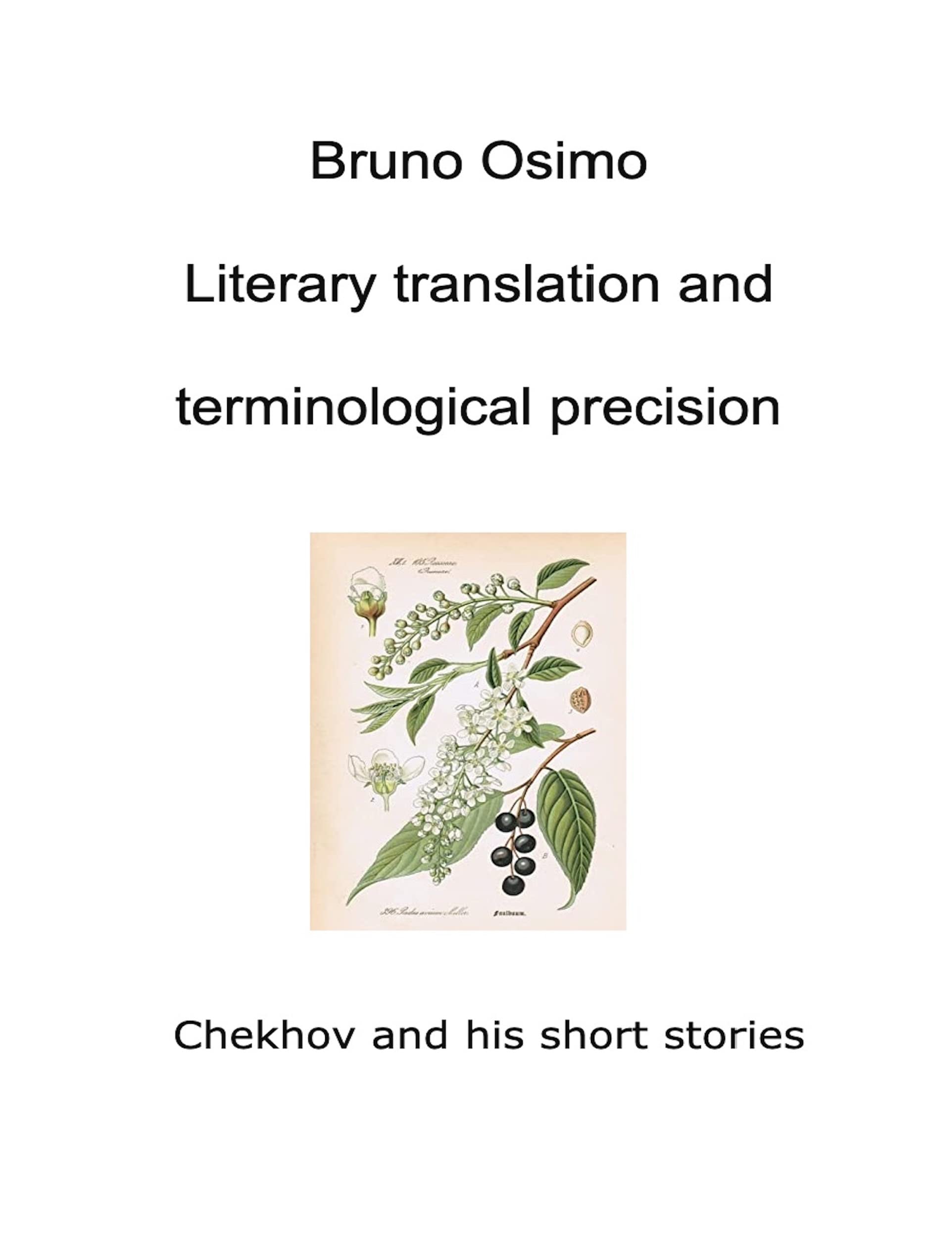 Literary translation and terminological precision Chekhov and his