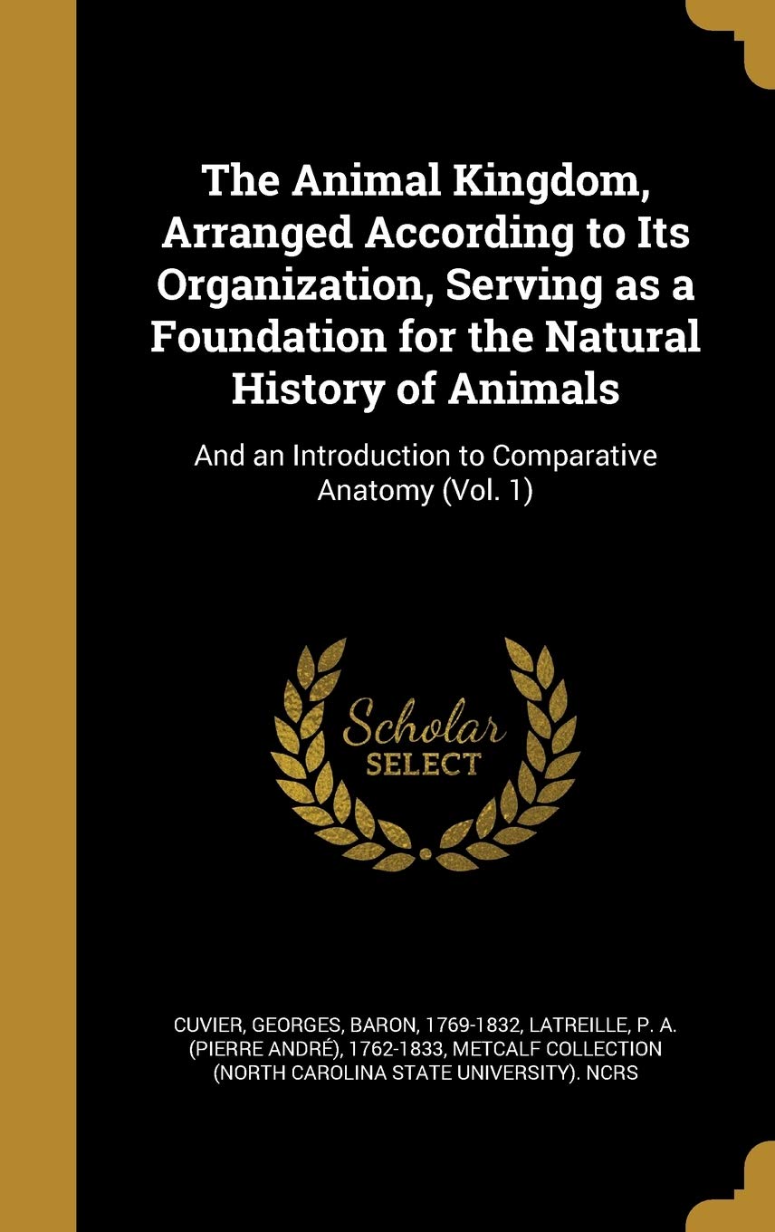 The Animal Kingdom, Arranged According to Its Organization, Serving as ...