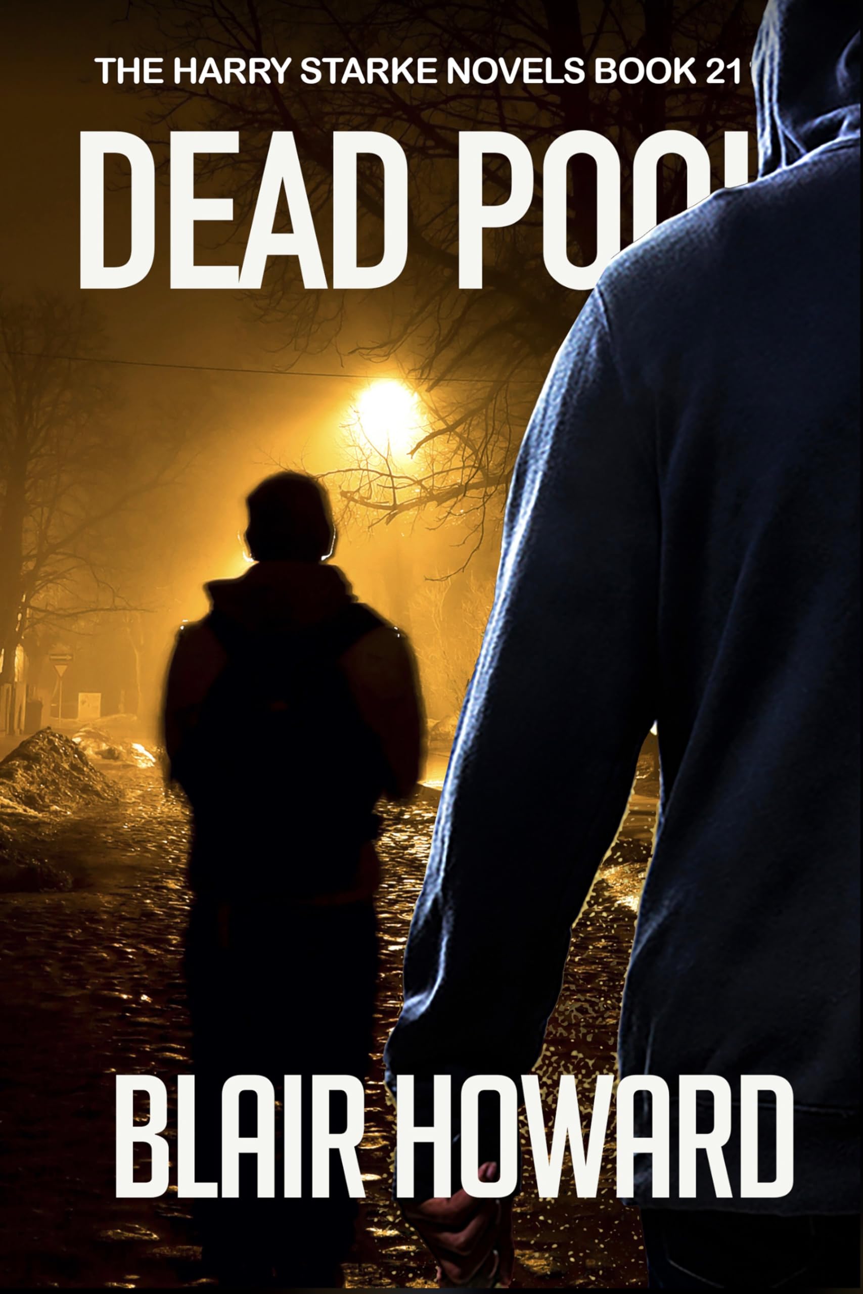 Dead Pool: The Harry Starke Novels Book 21