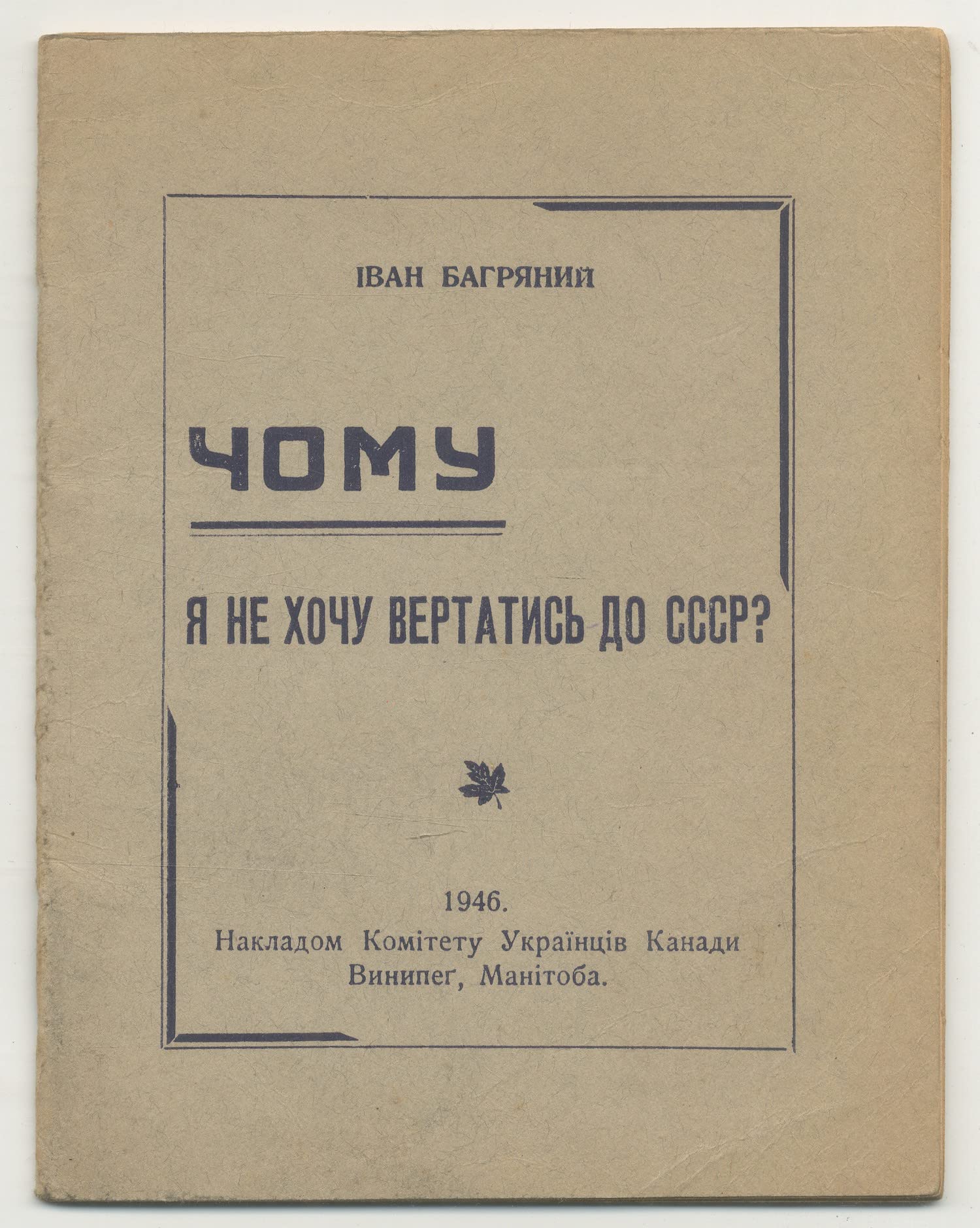 Чому я не хочу вертатись до СРСР? book cover