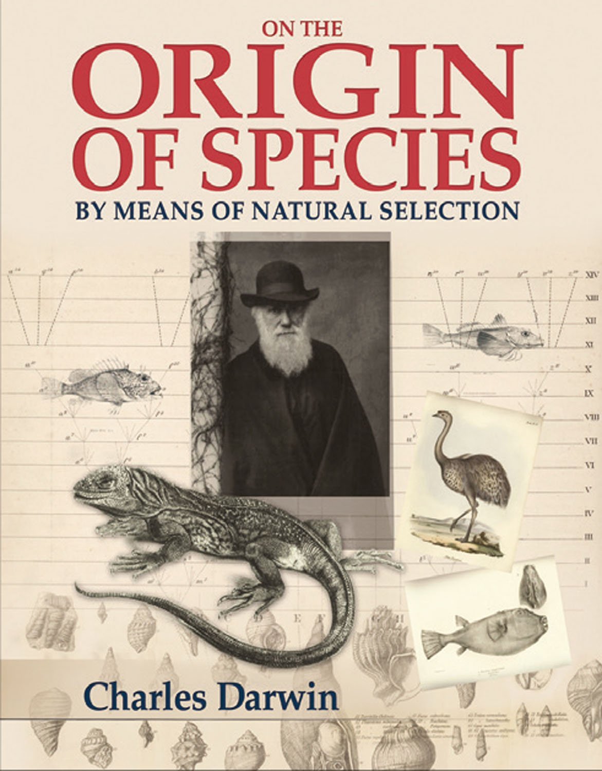 On the Origin of Species: By Means of Natural Selection by Charles ...