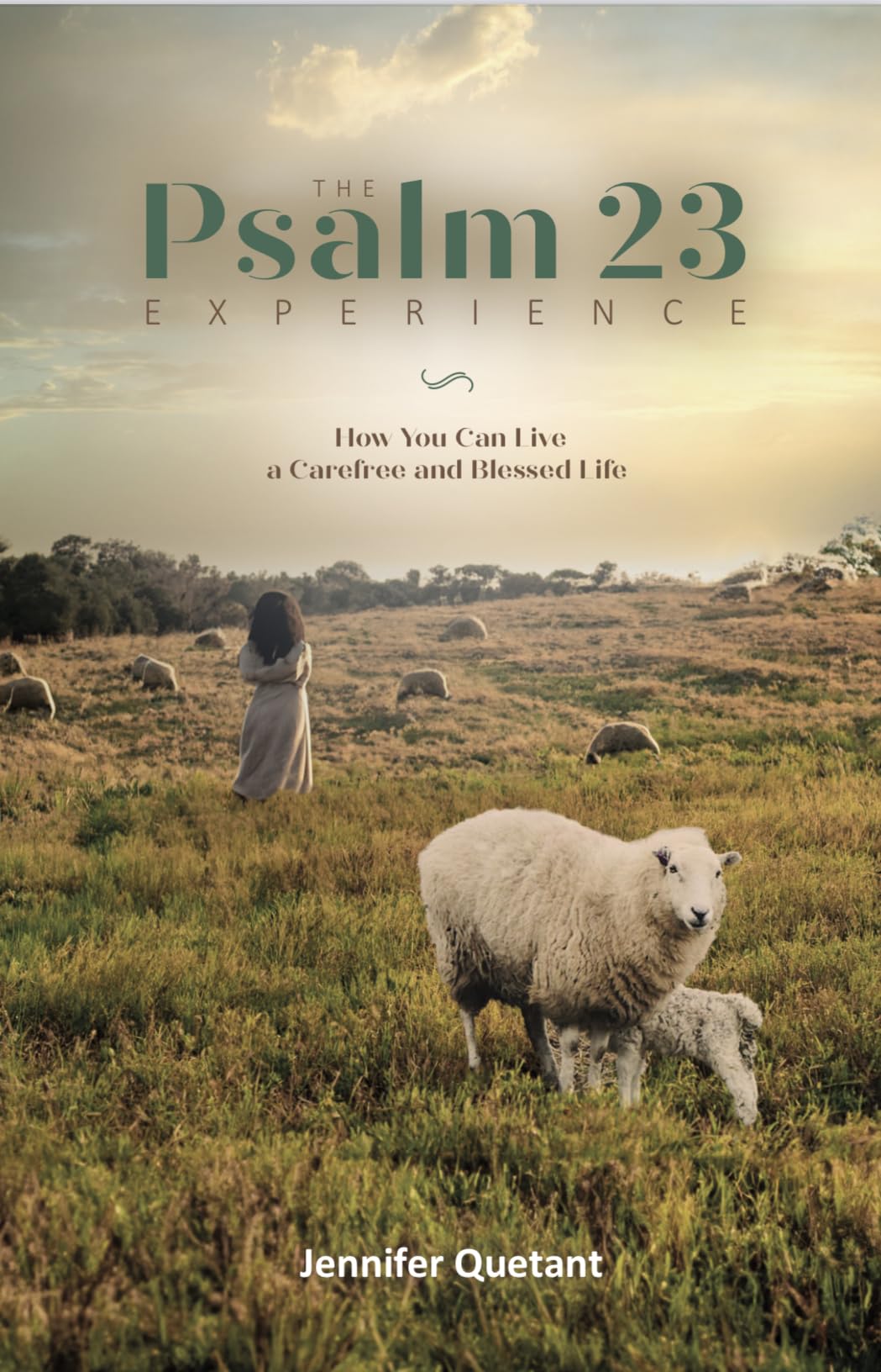 The Psalm 23 Experience: How You Can Live a Carefree and Blessed Life ...