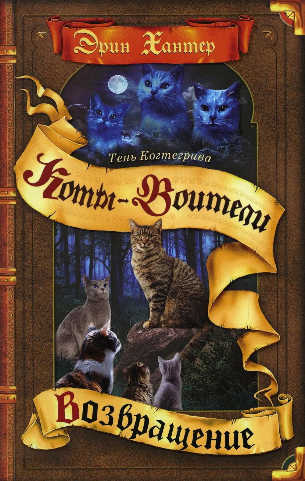 Возвращение book cover