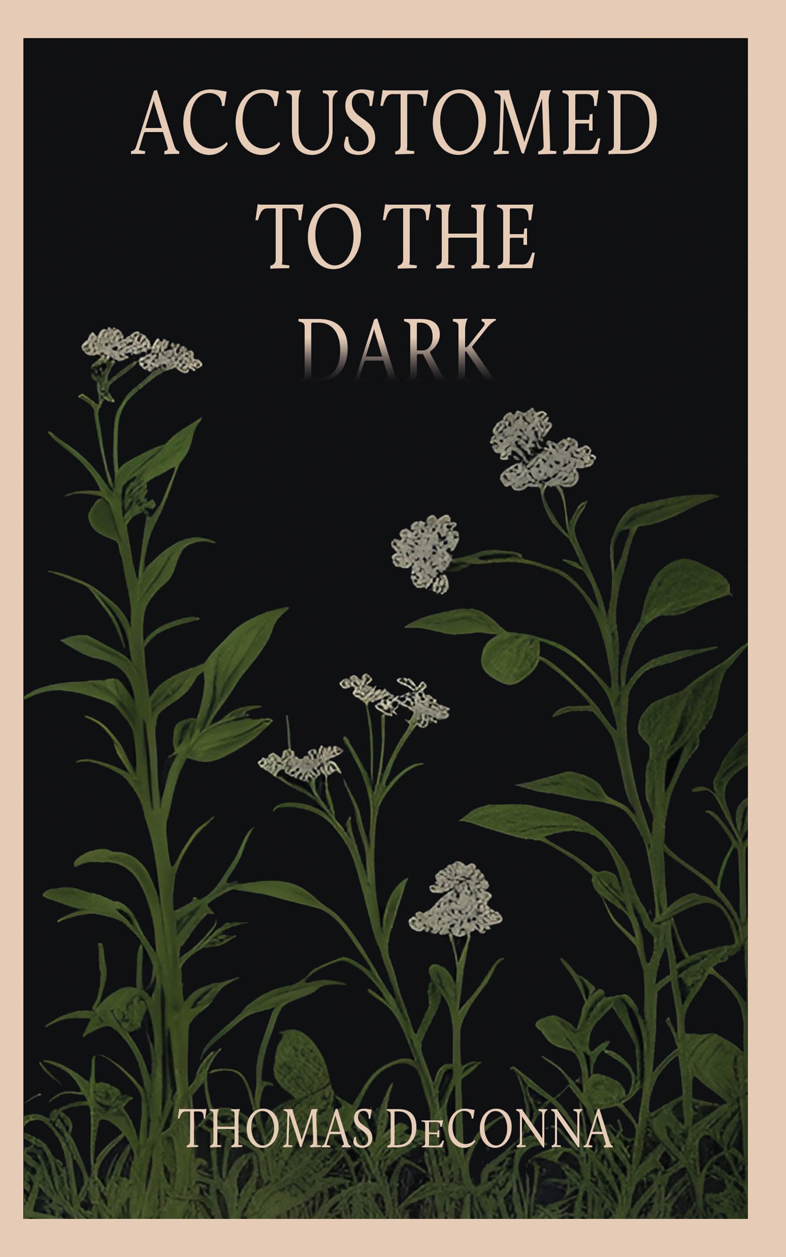 Accustomed to the Dark