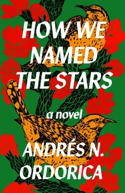 How We Named the Stars