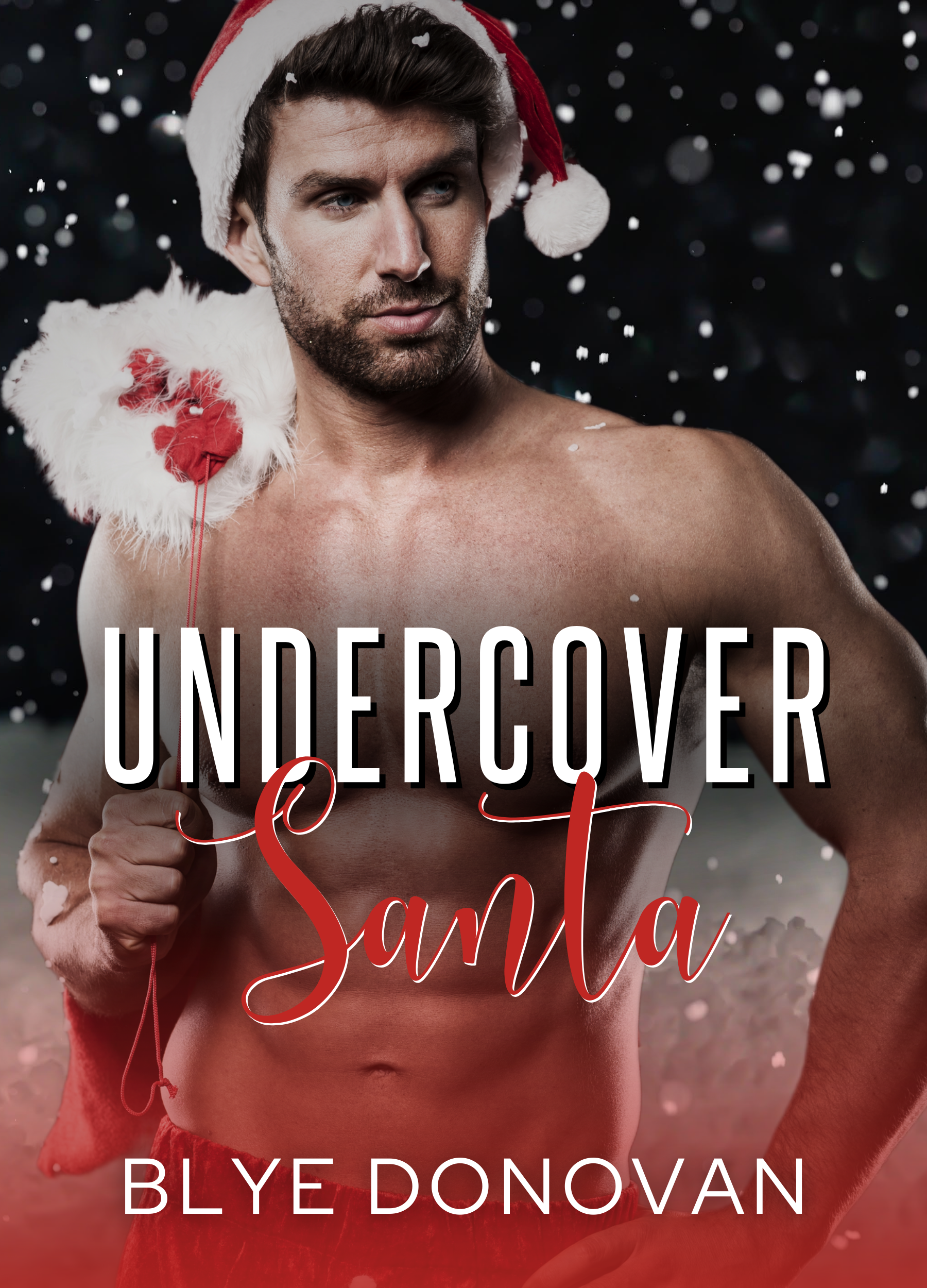Undercover Santa