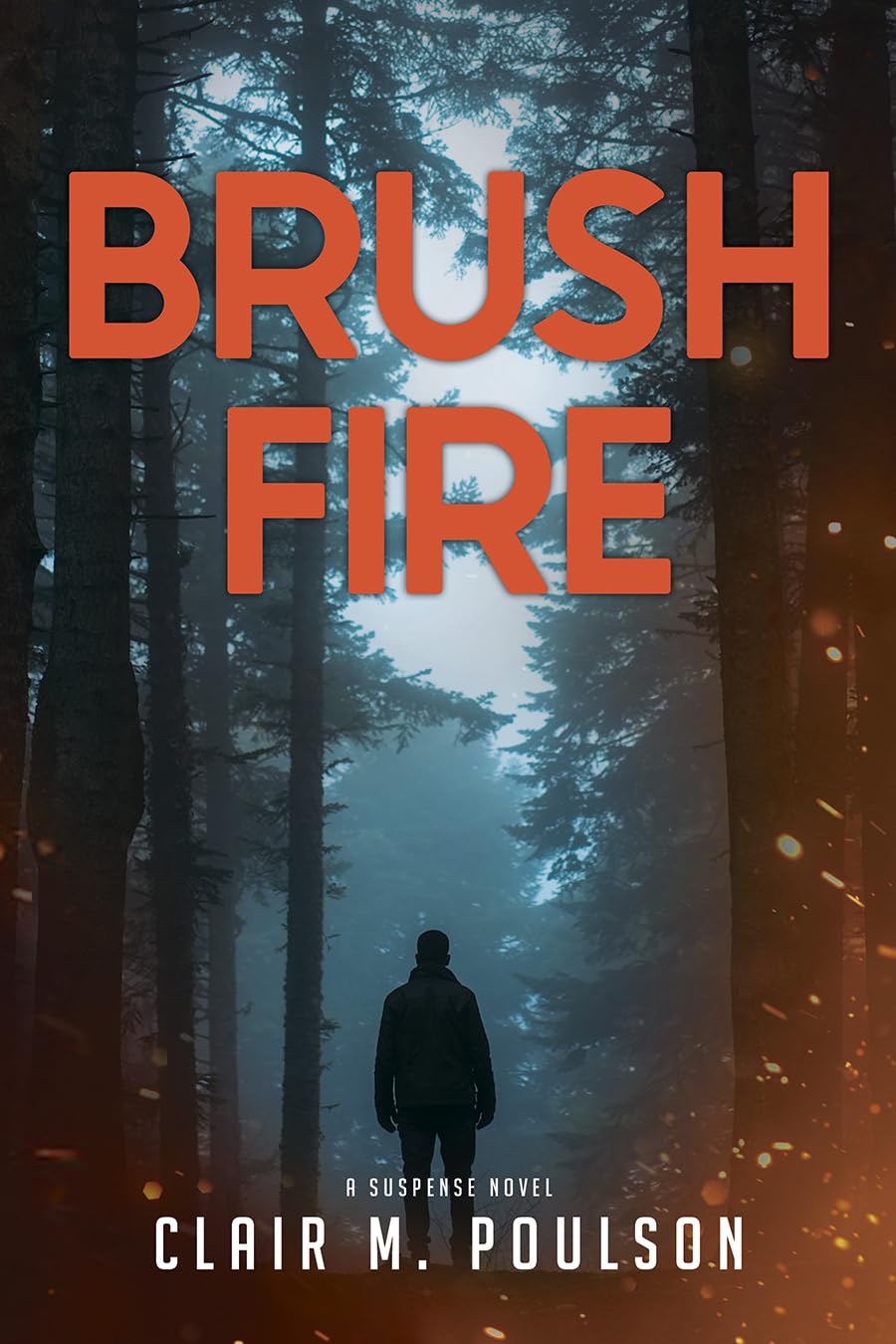 Brush Fire book cover