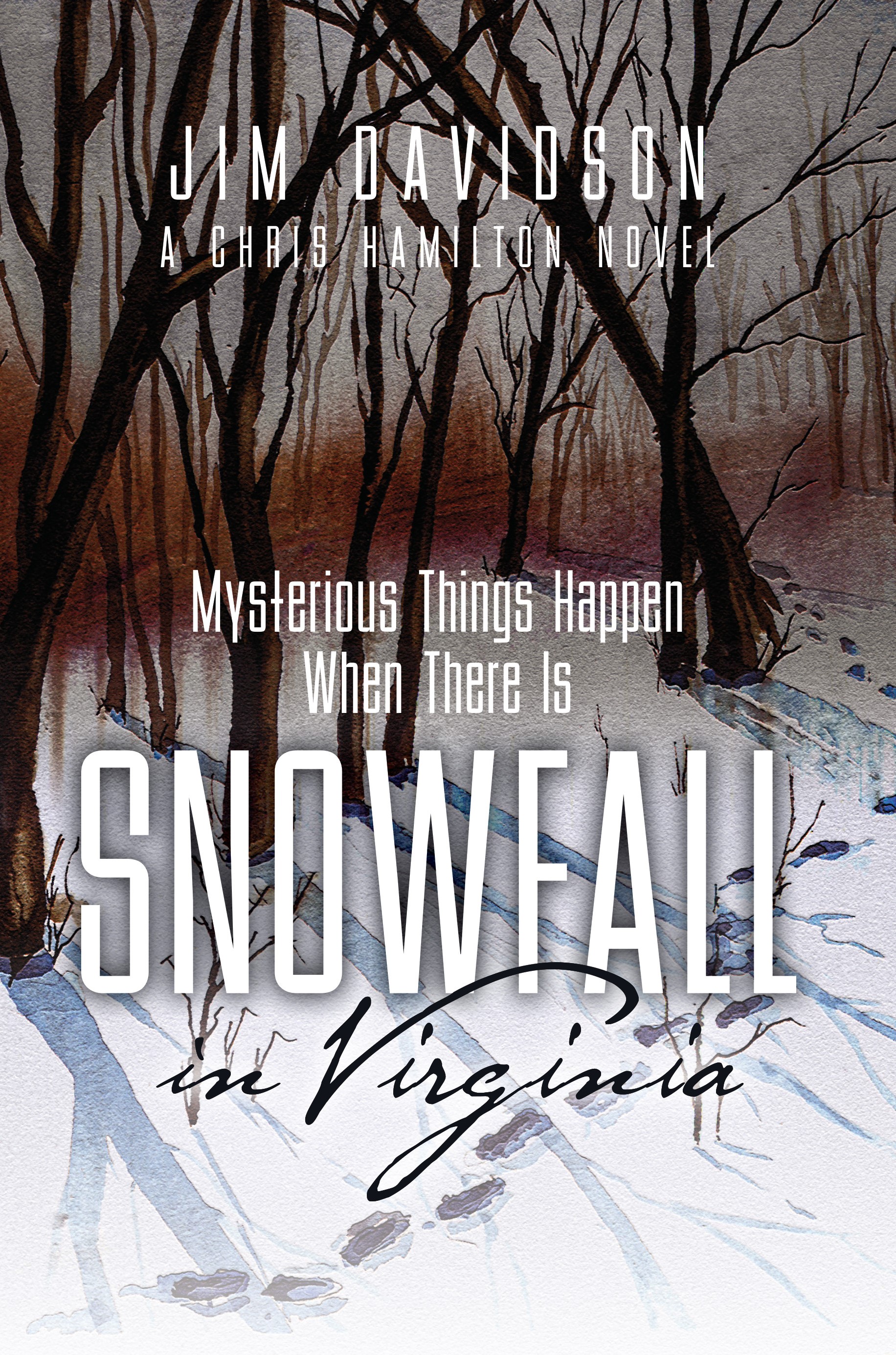 Snowfall in Virginia