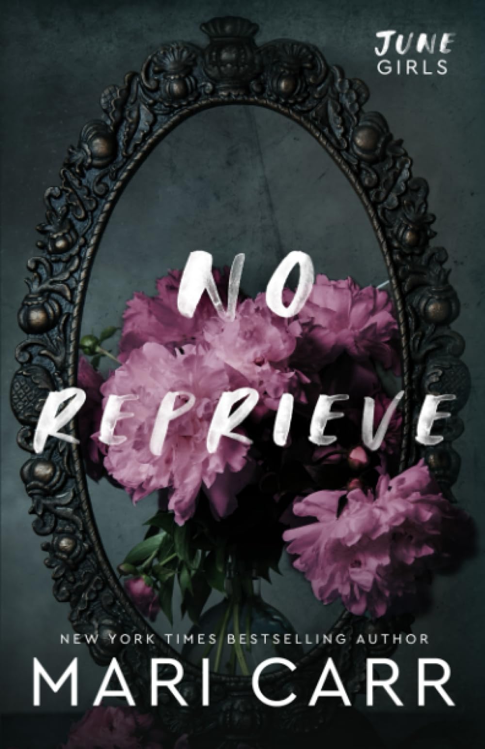 No Reprieve book cover
