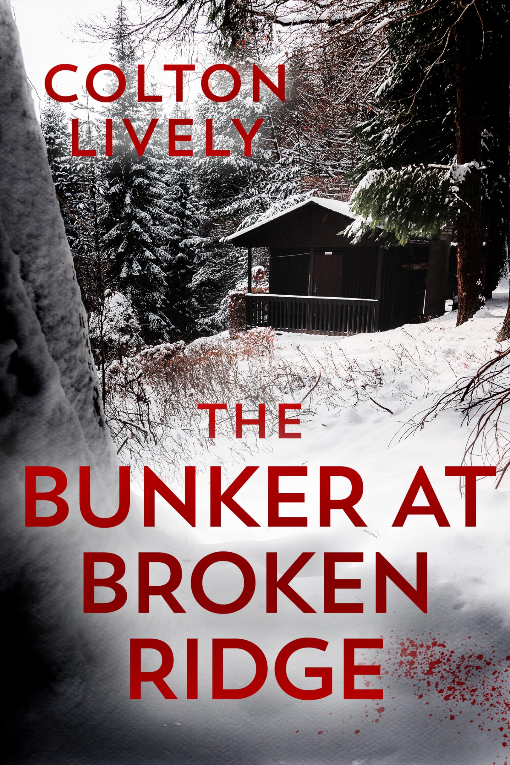 The Bunker at Broken Ridge book cover