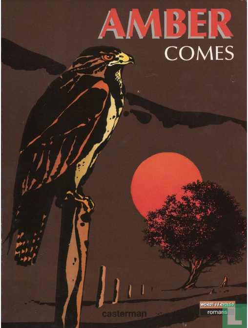 Amber book cover