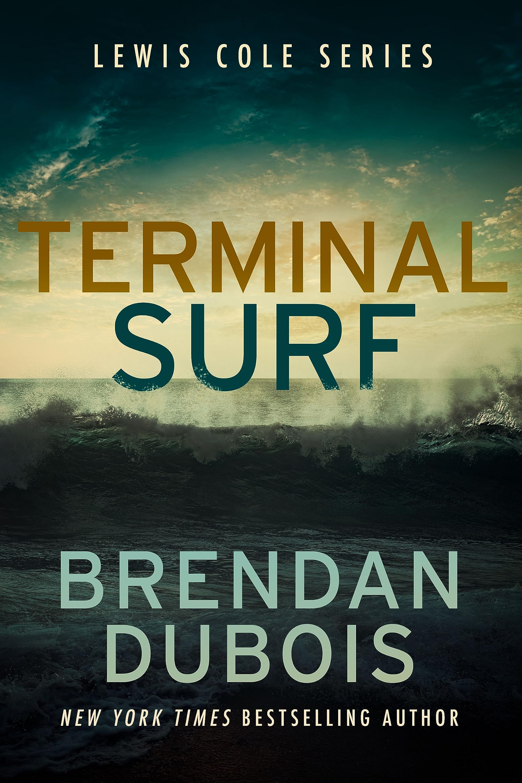 Terminal Surf book cover