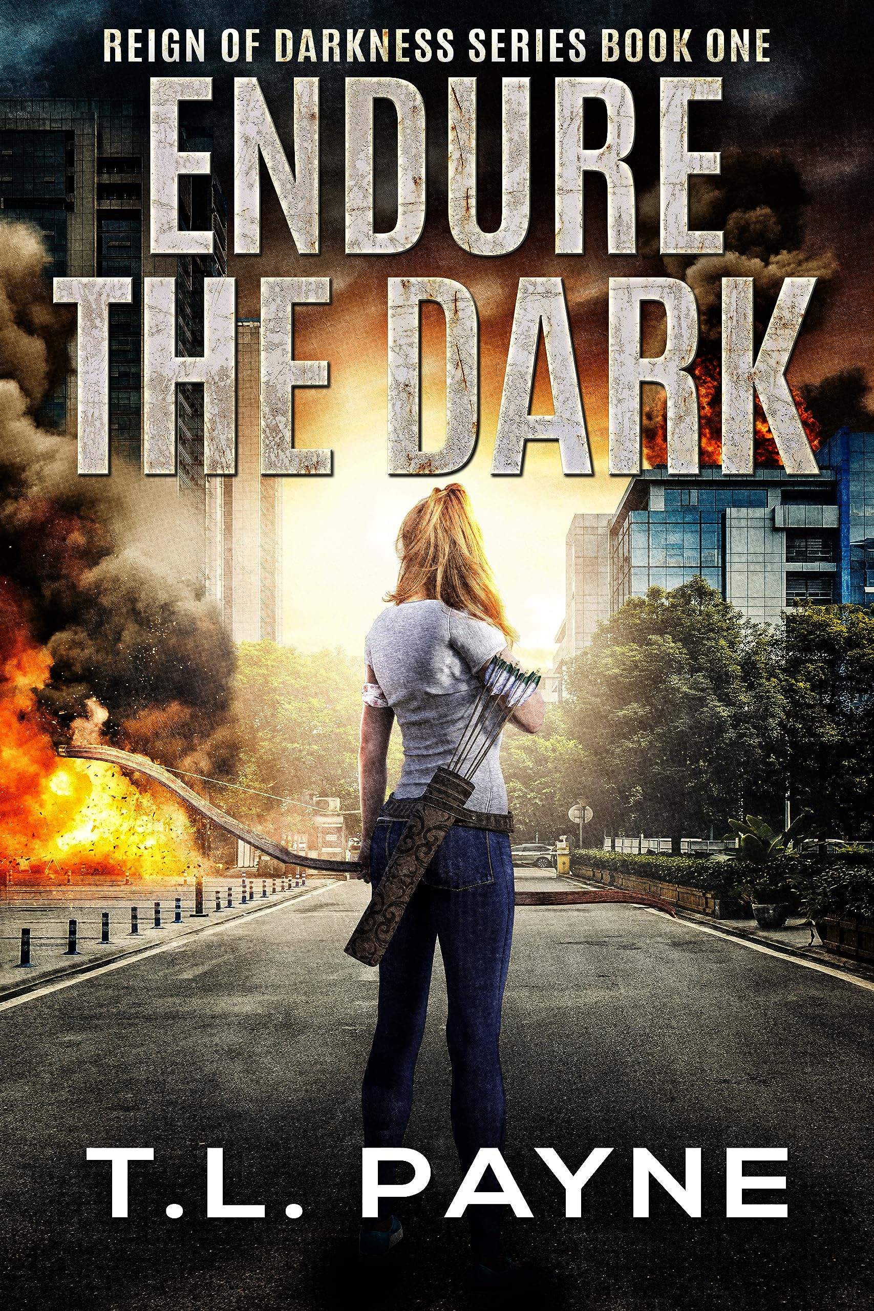 Endure the Dark book cover