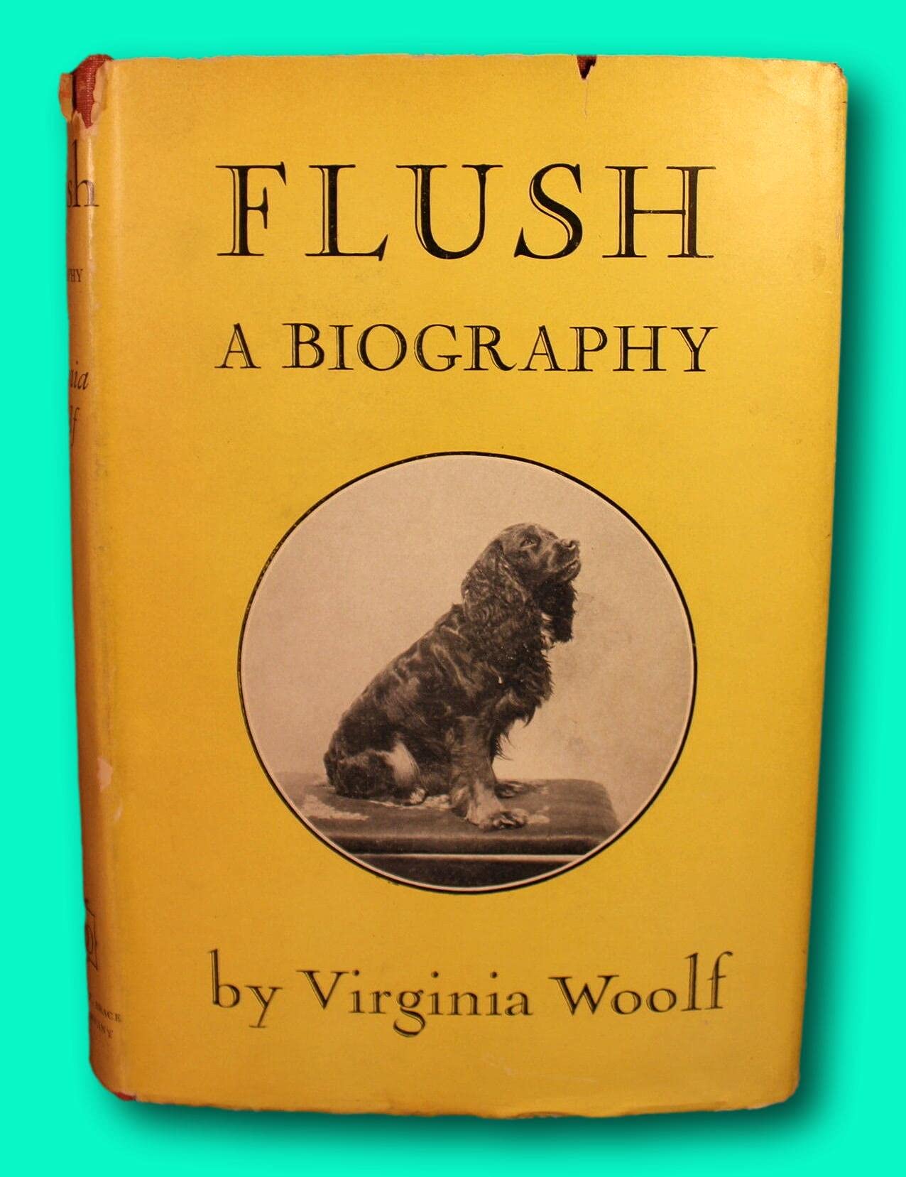 Rare Virginia Woolf Flush A Biography 1933 1st American Edition DJ Dog