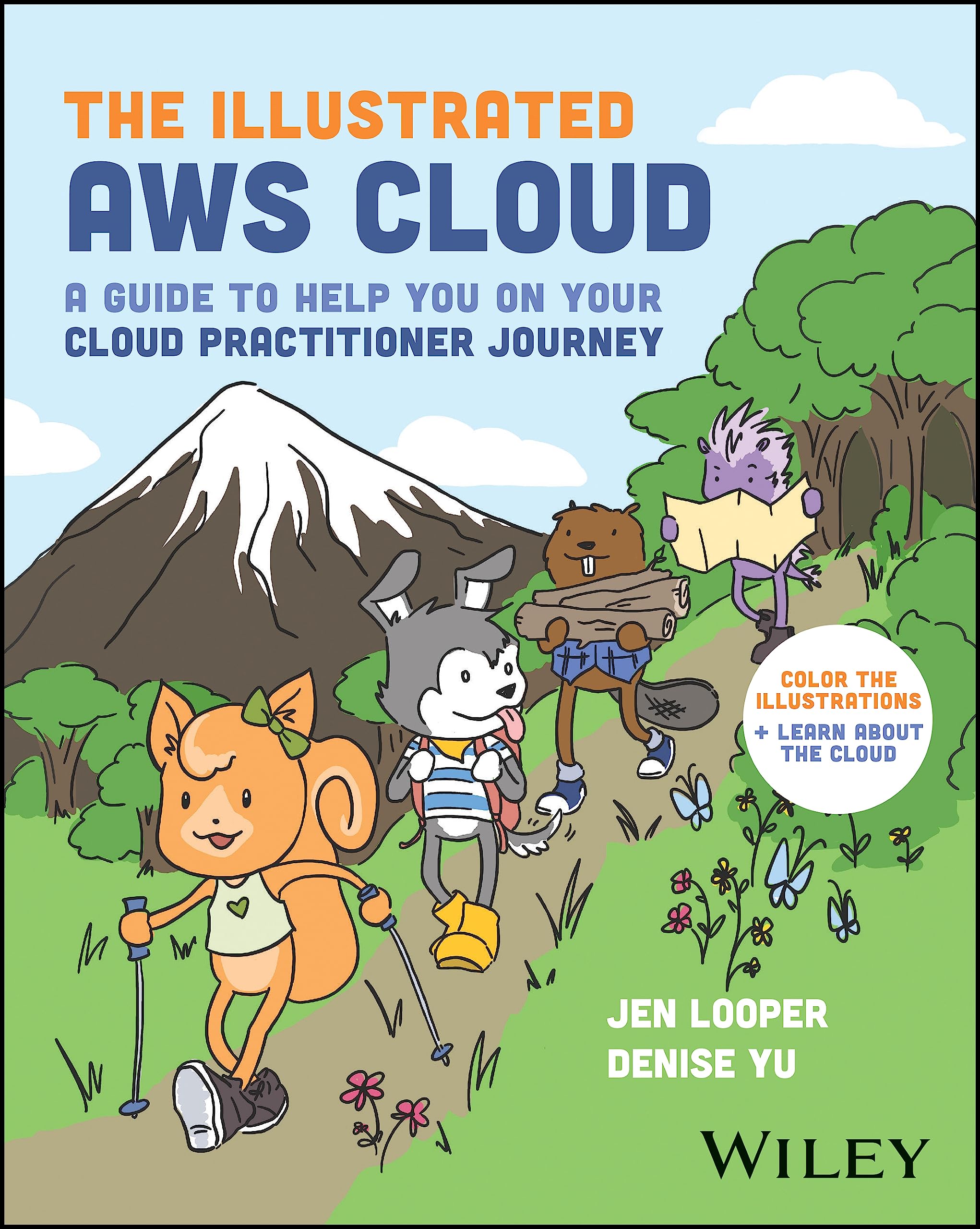 The Illustrated AWS Cloud: A Guide to Help You on Your Cloud Practitioner Journey